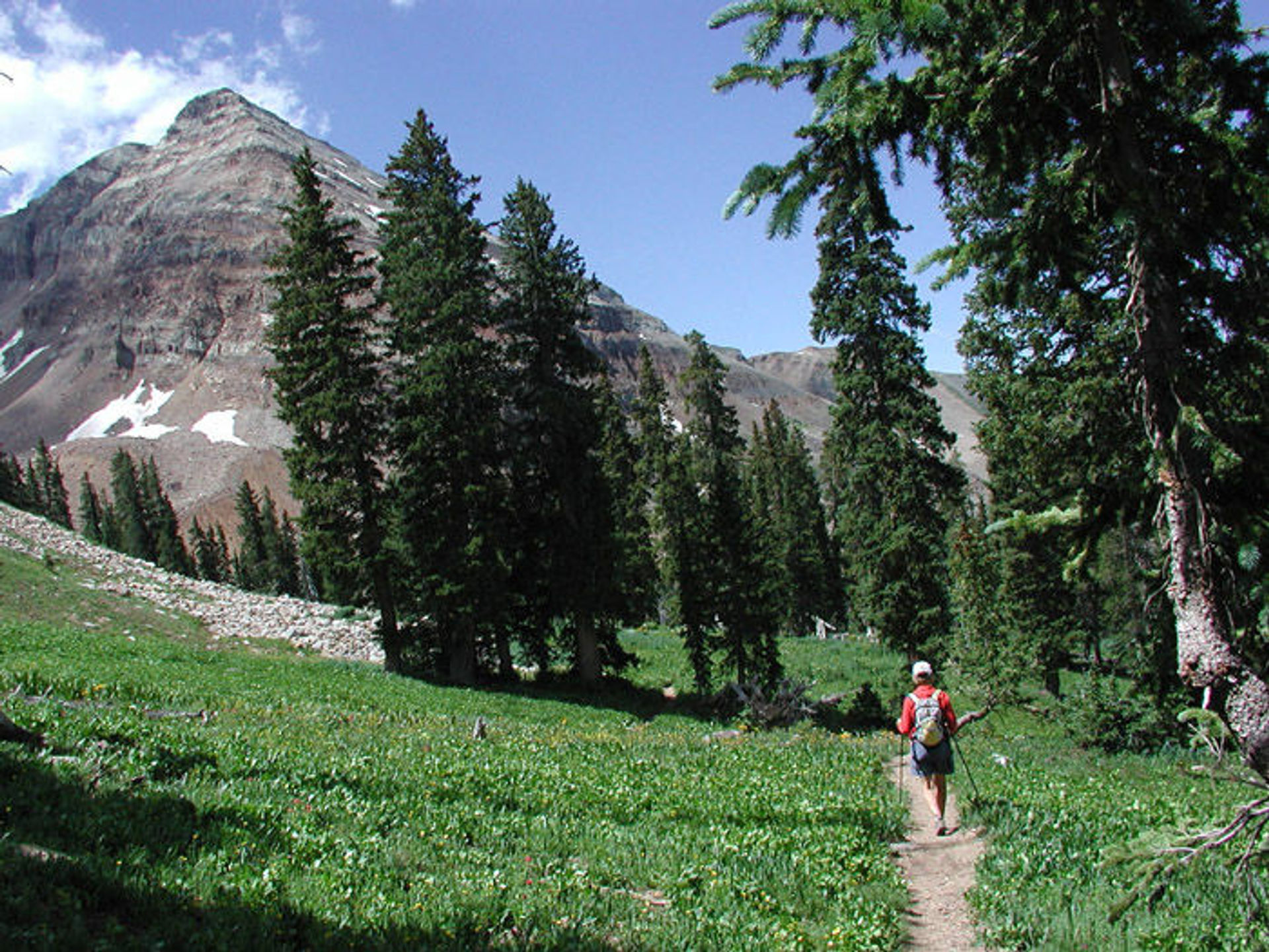 San Juan National Forest. Photo by USFS.