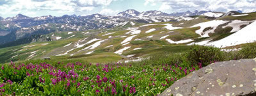 San Juan National Forest. Photo by USFS.