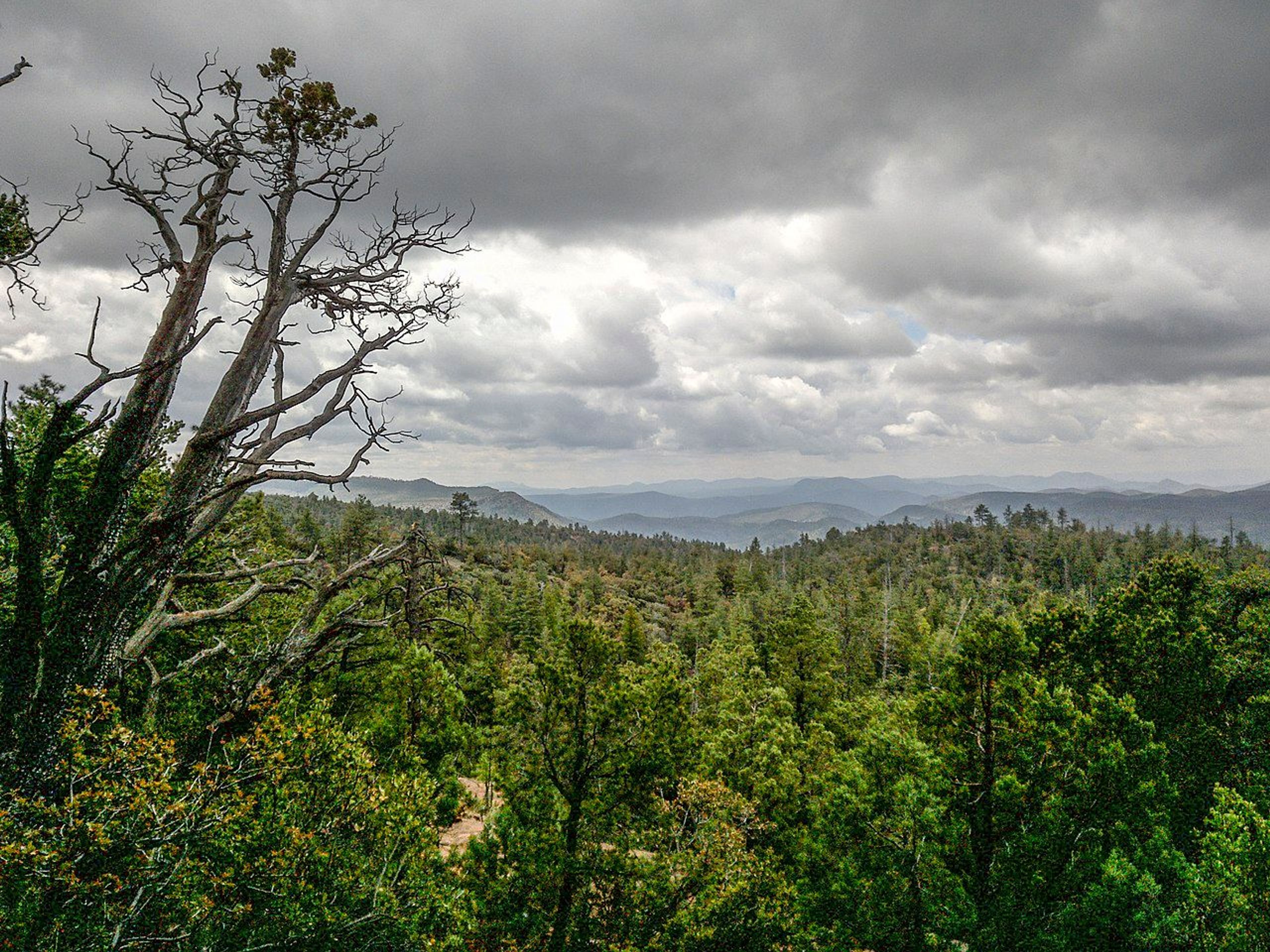 Highline Trail, Payson, Arizona. Photo by davidpinter/wiki.