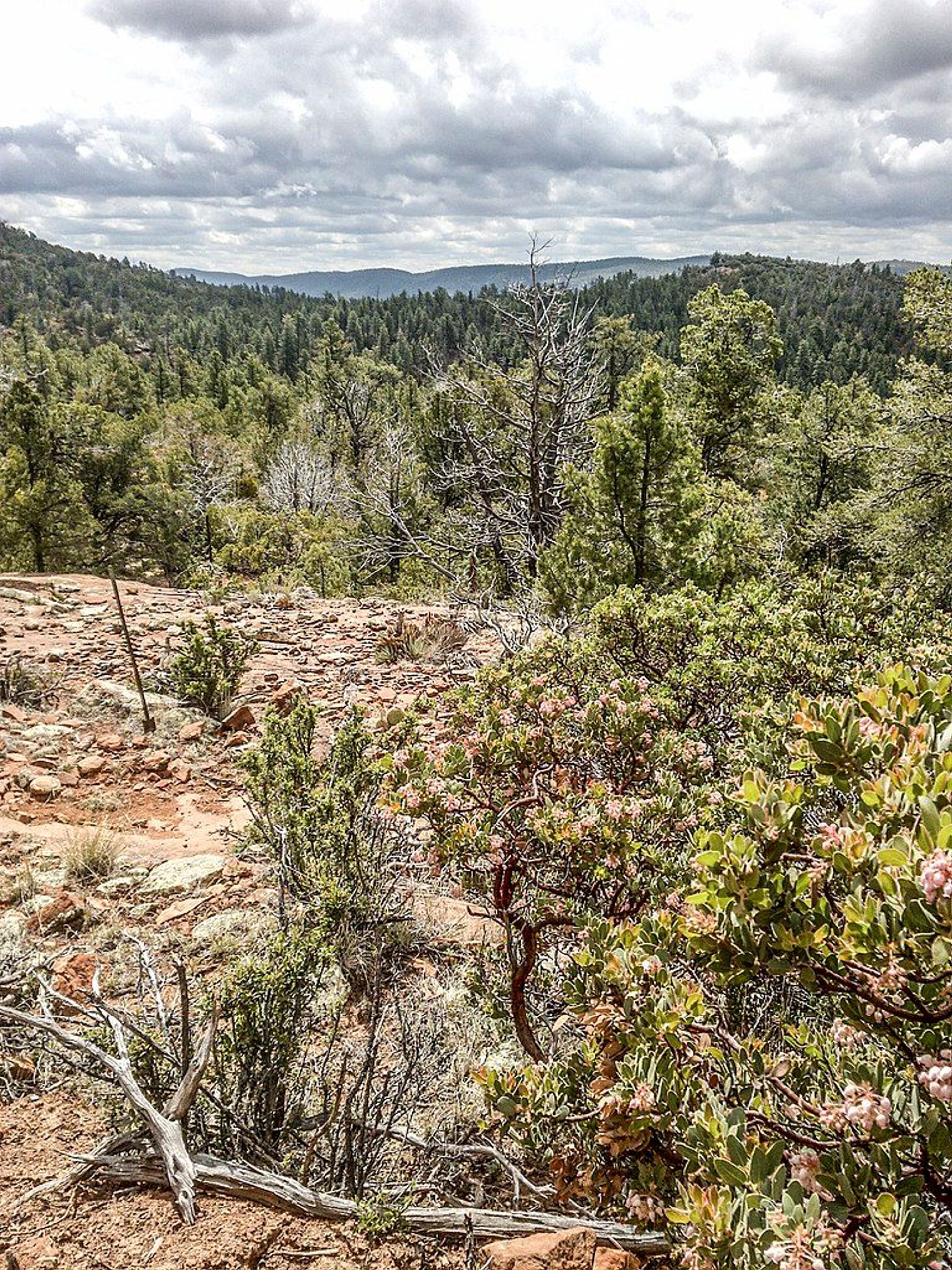 Highline Trail, Payson, Arizona. Photo by davidpinter/wiki.