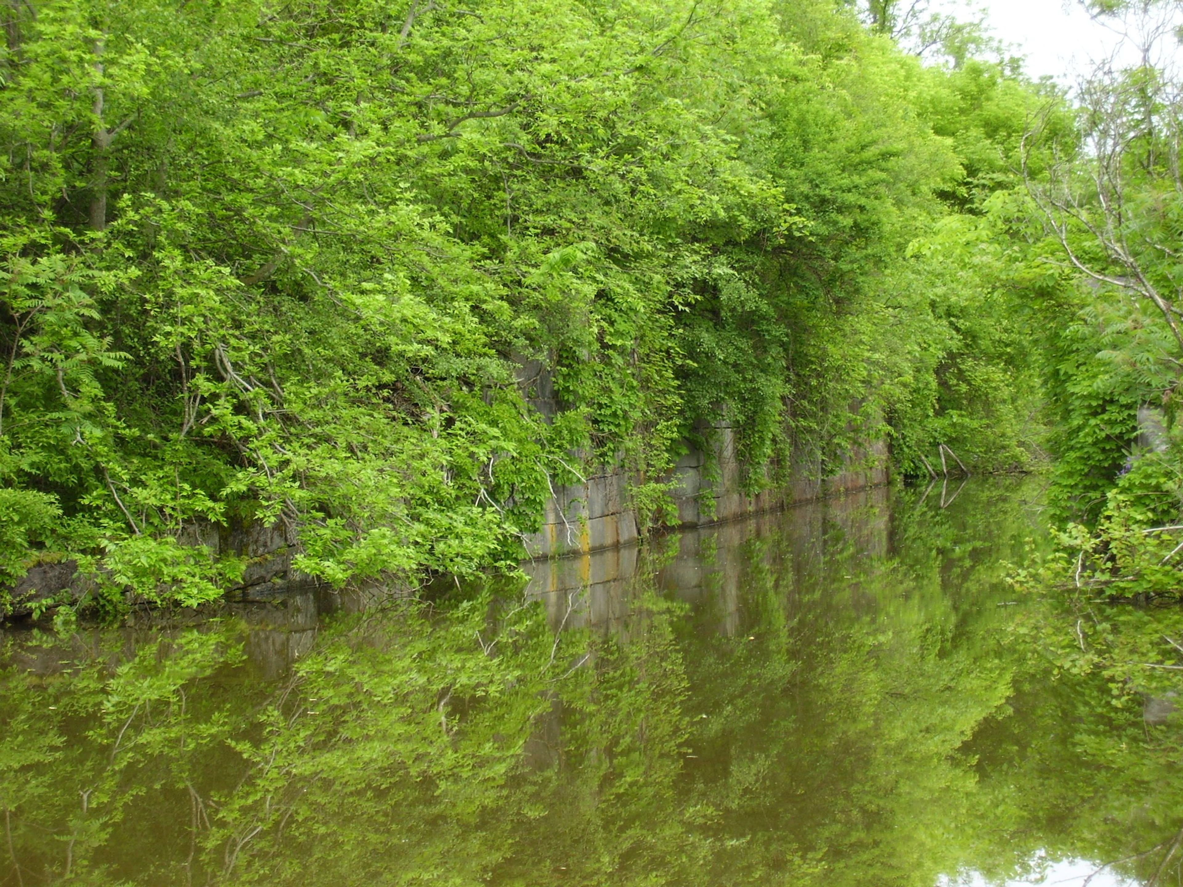 The 1823 Lock is well preserved and water tight 175 years later. Photo by Kim Martin.