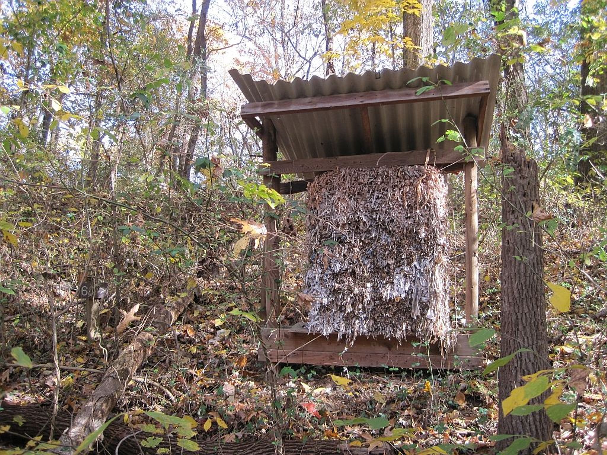 T. O. Fuller State Park in Memphis, Tennessee. Nesting material dispenser supplying birds with shedded paper. Photo by Thomas R Machnitzki.