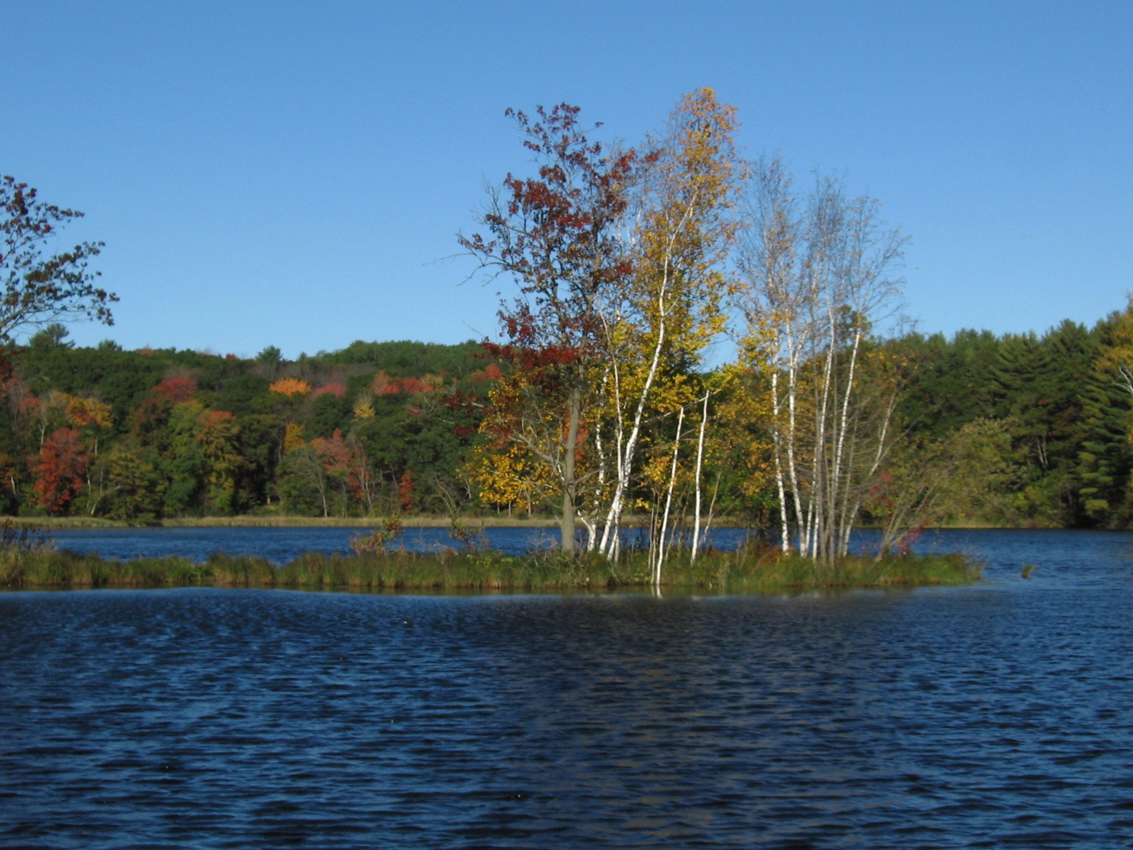 Hartman's Creek State Park. Photo by Greg Walther.