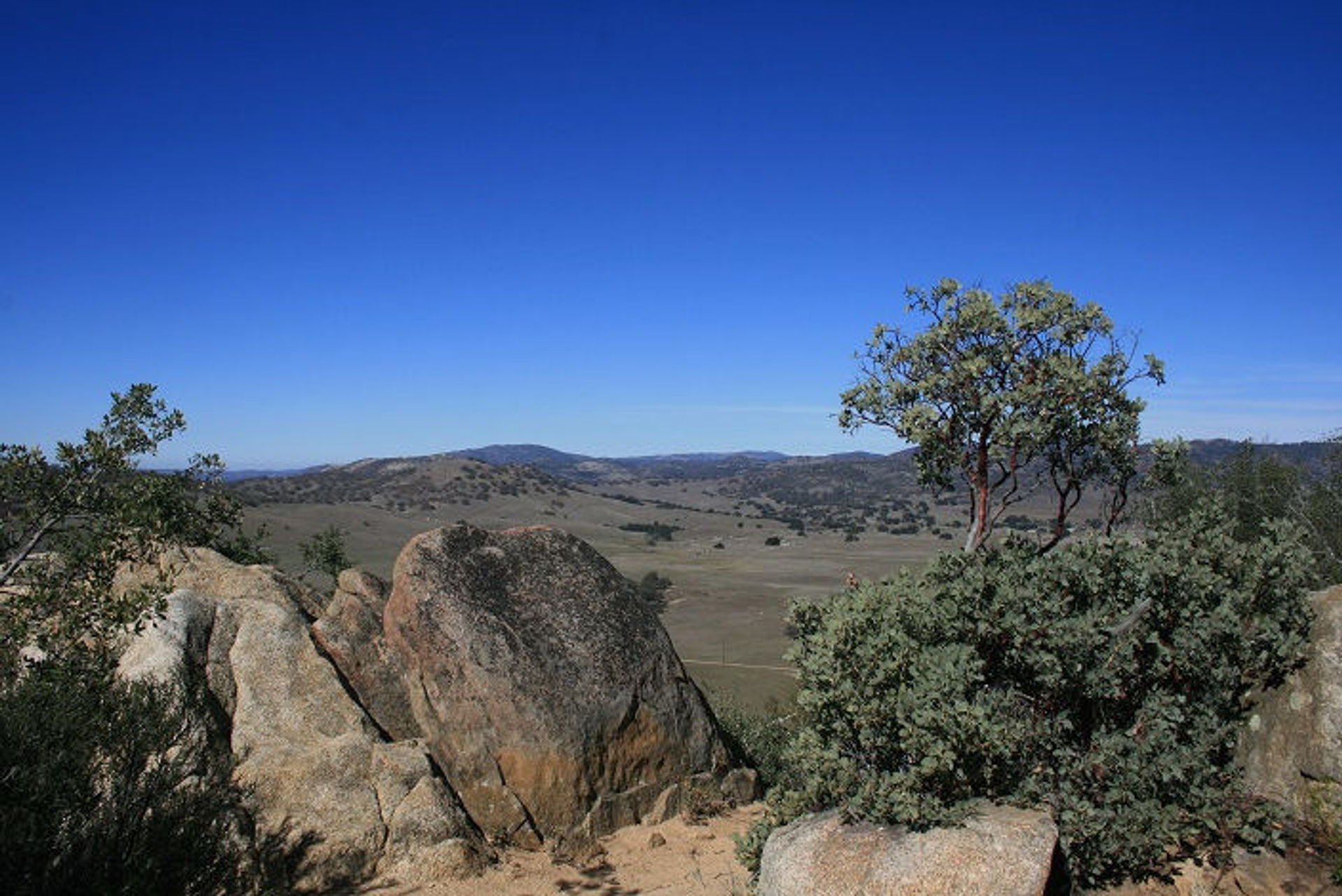 Views from the trail. Photo by USFS.