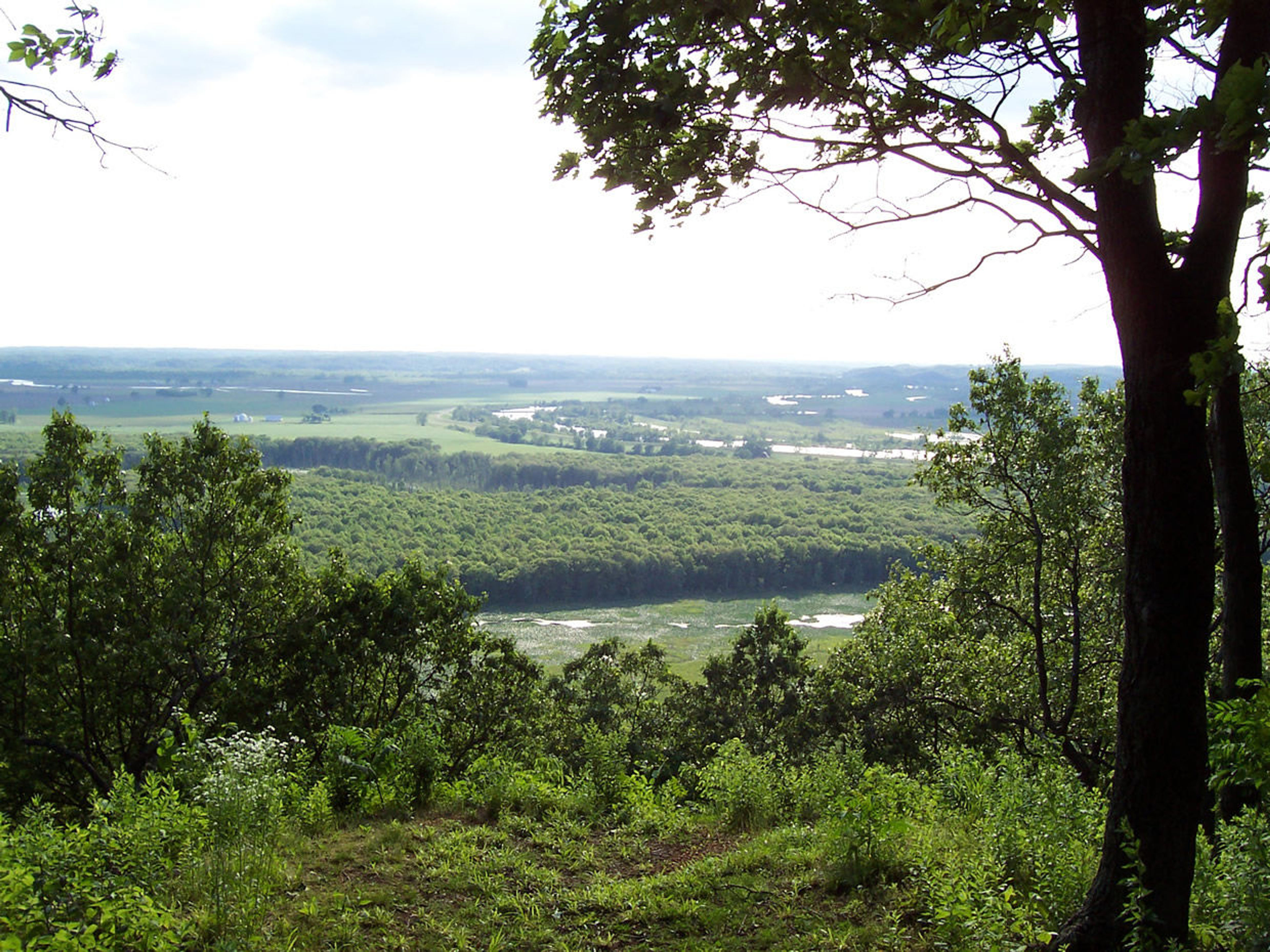 View from the bluffs. Photo by USFS.