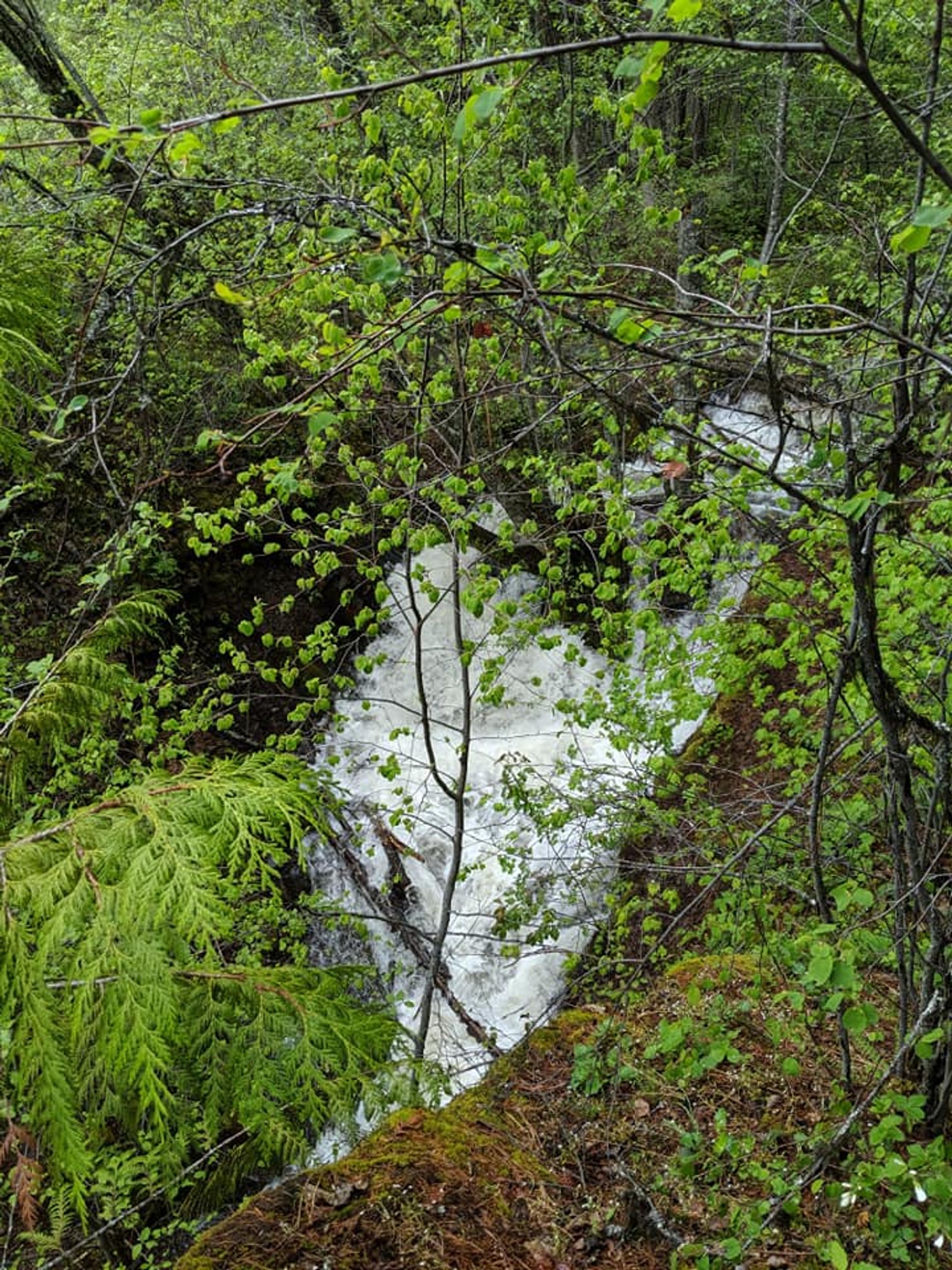 Falls from the trail. Photo by Phoebe Fortunate.