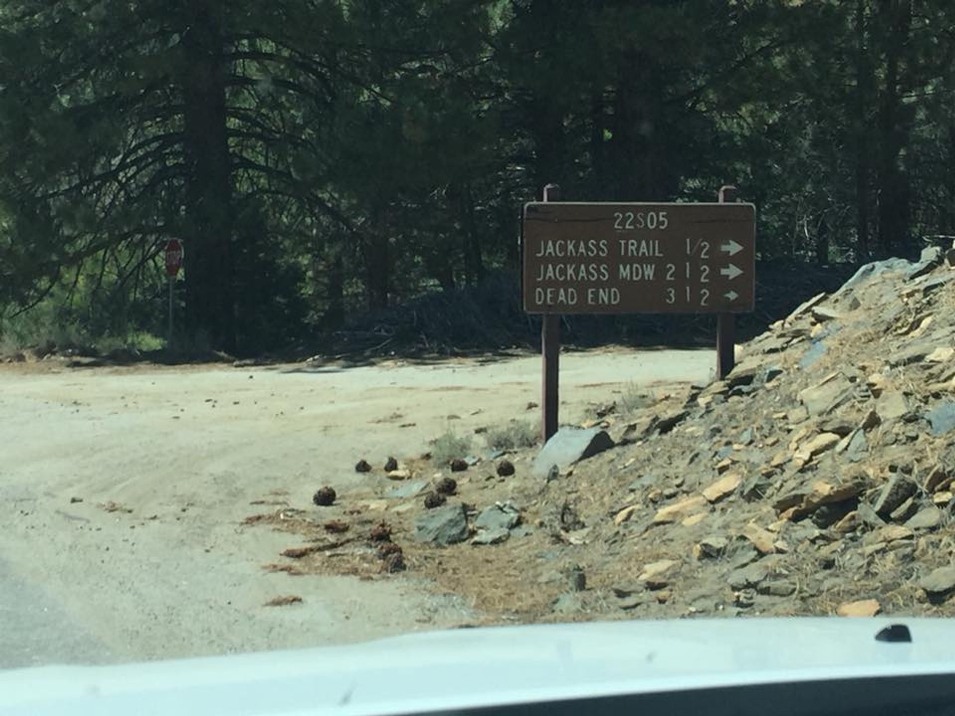 Signs pointing to Jackass Trail. Photo by Troy Meadows, Sequoia NF.