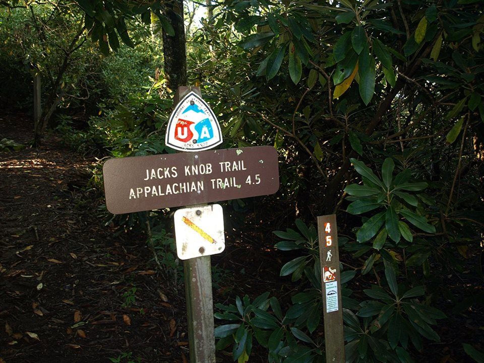 The Brasstown parking lot is the official beginning of the Jacks Know Trail. Photo by Ed Boon.