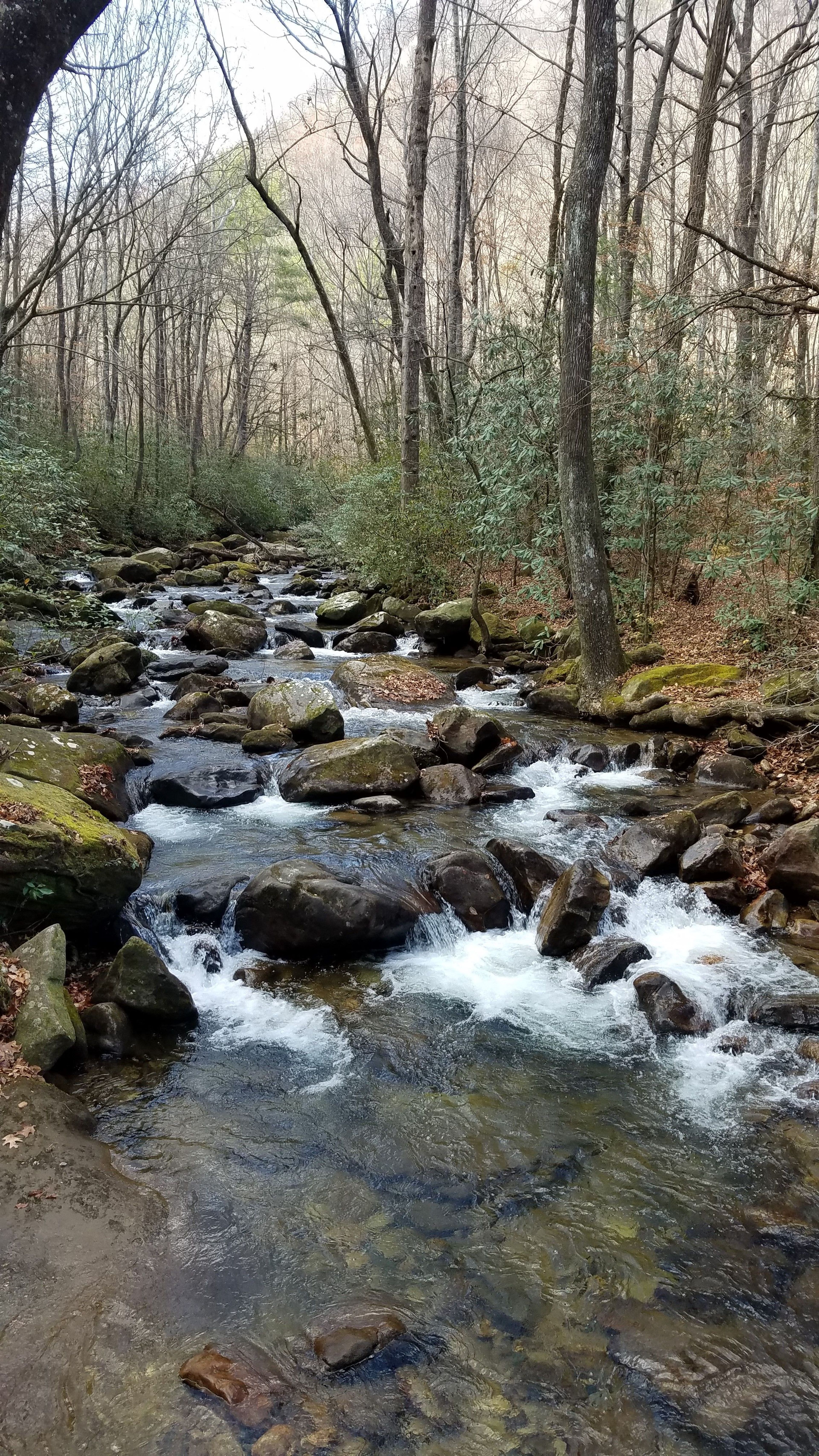 Middle Saluda River. Photo by Tasha Simon.