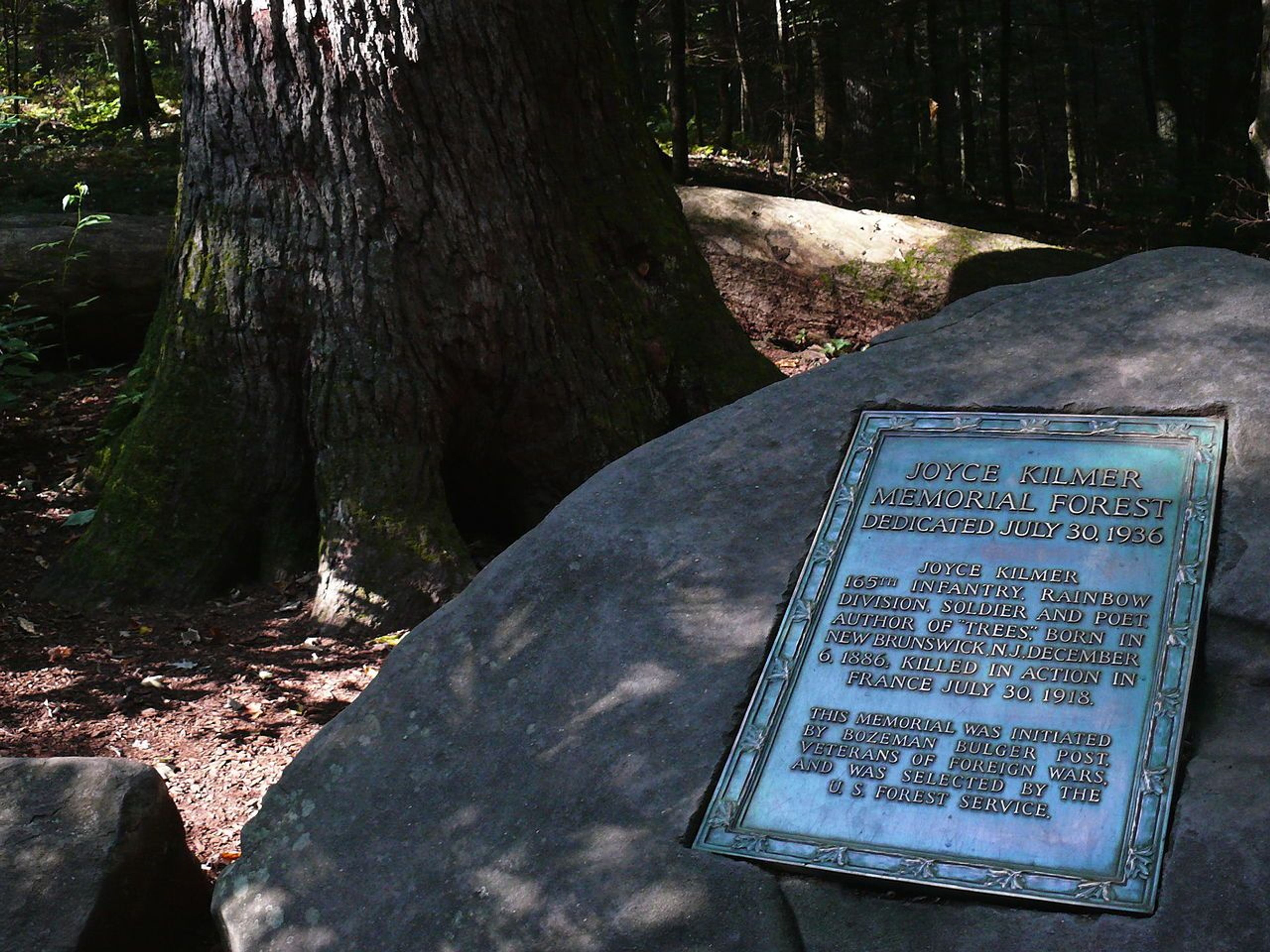 Poet Joyce Kilmer forest dedication marker. Photo by Ken Thomas/wiki.