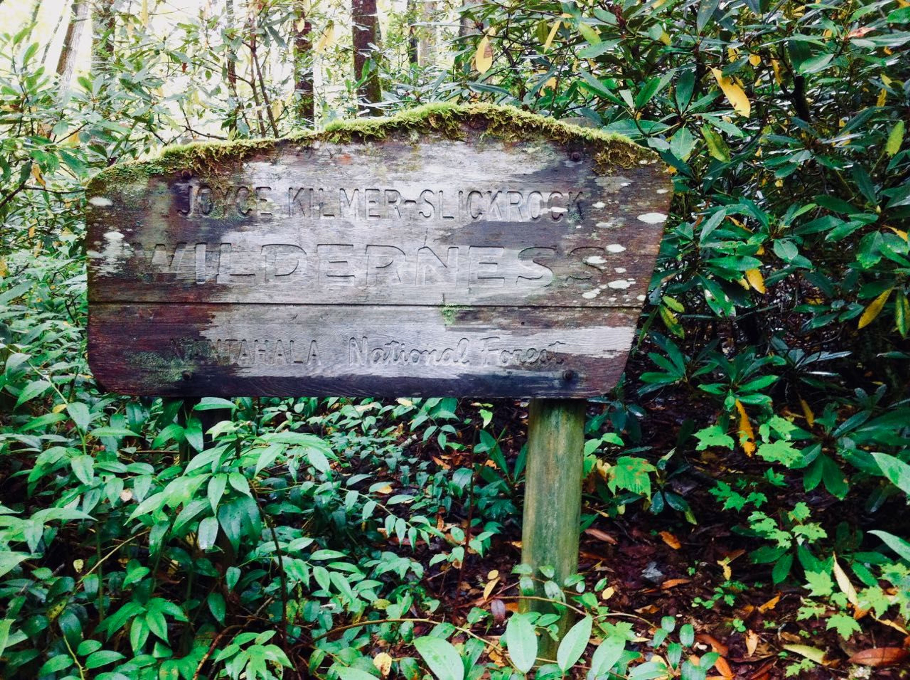 The memorial loop area serves as a portal to the Joyce Kilmer-Slickrock Wilderness complex. Photo by Donna Kridelbaugh.