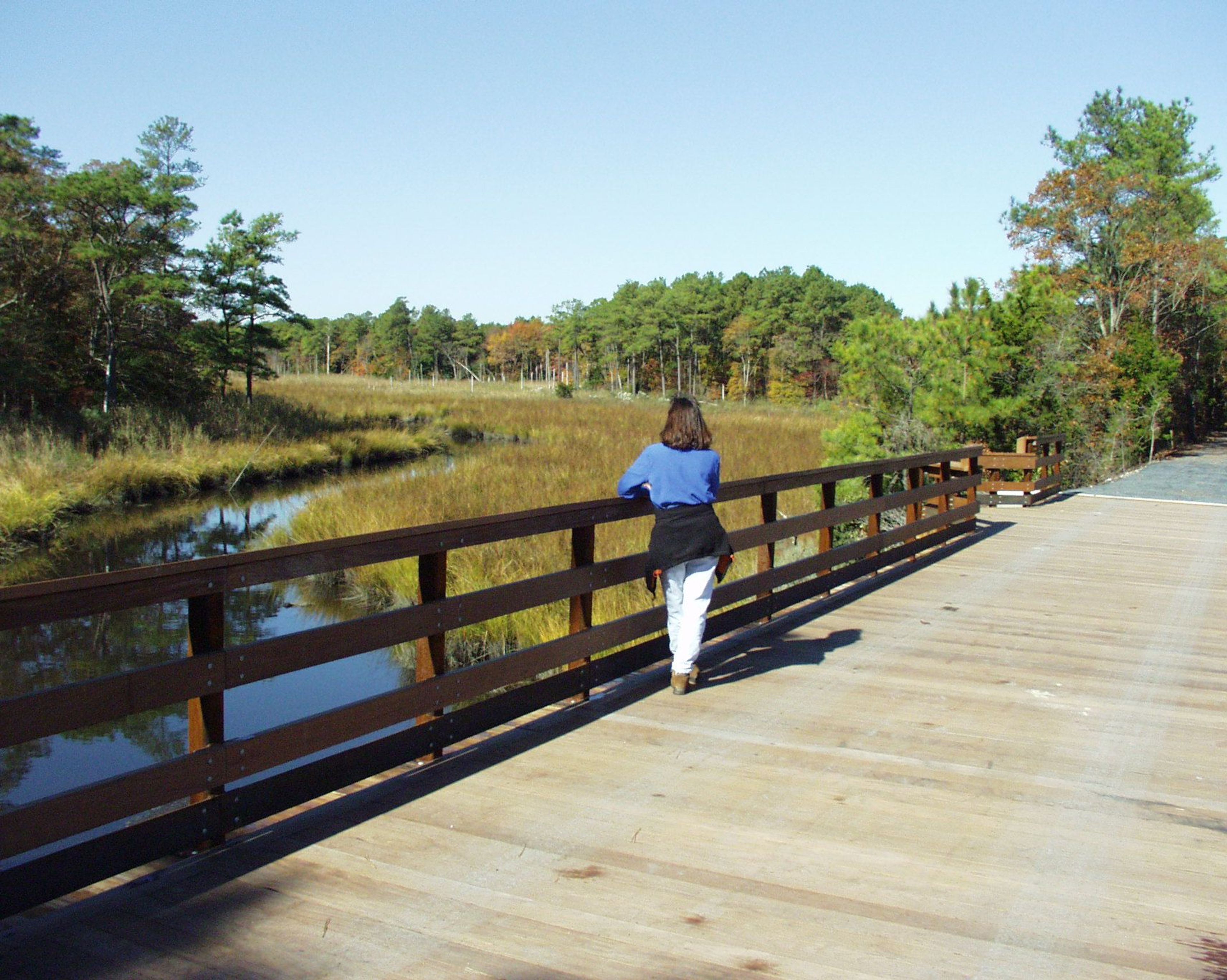 A person enjoys the serene view from the Holland Glade Overlook on the Junction and Breakwater Trail. Photo by Avery Dunn.