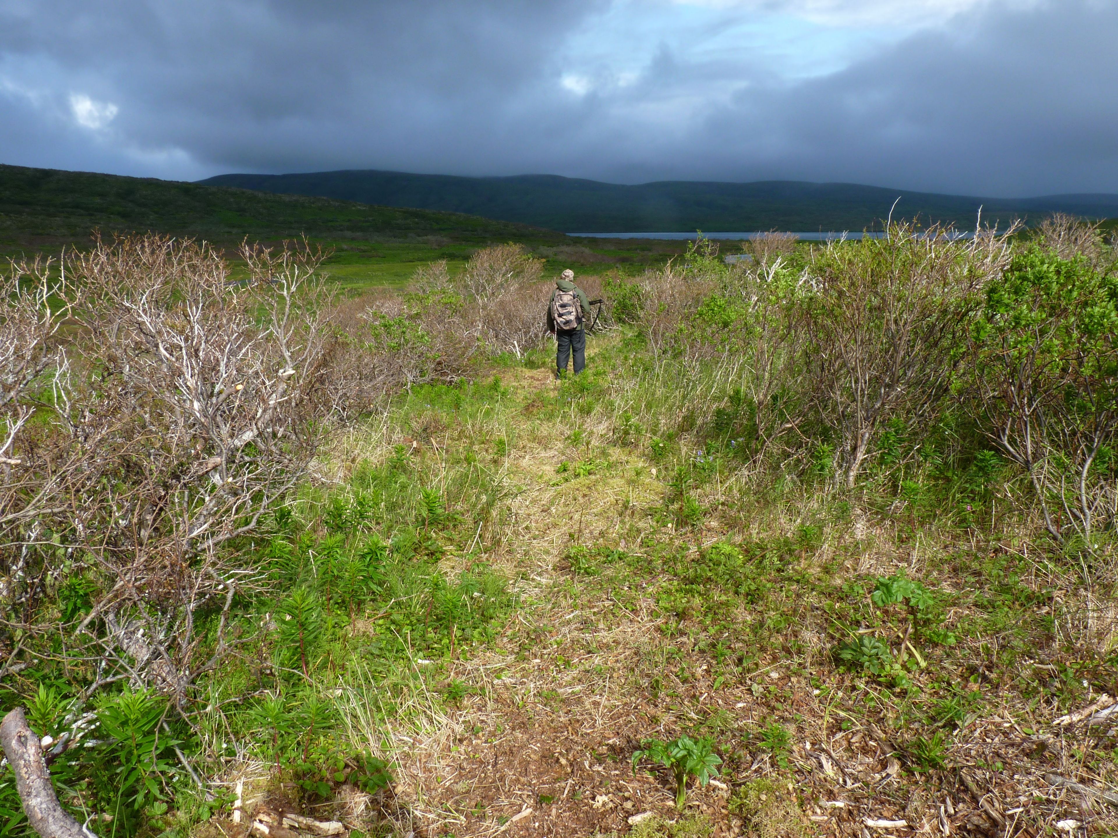 Hiking the western section of the Kanatak Trail.