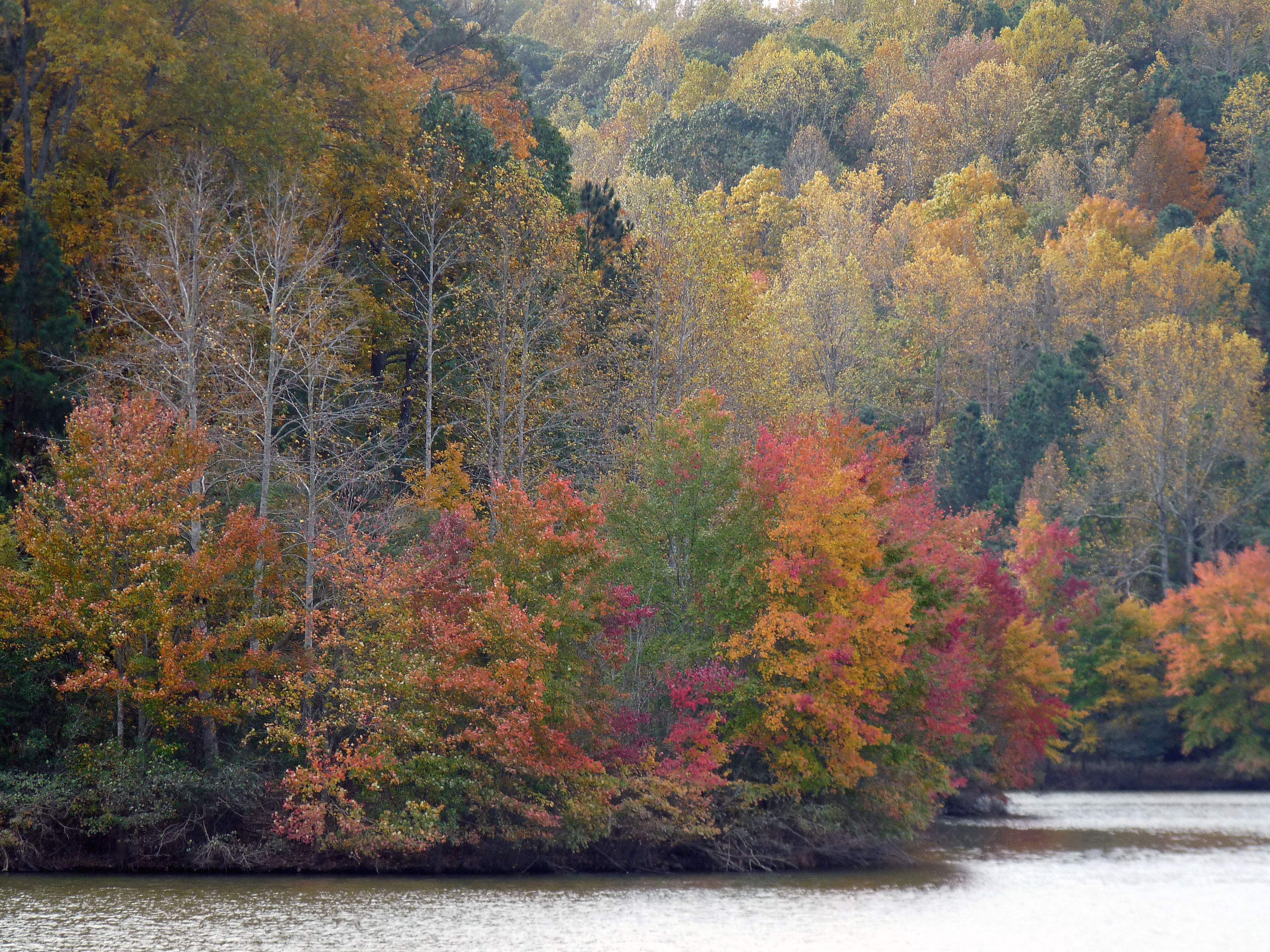 Fall at Mulberry Park. Photo by Patricia Mobley.