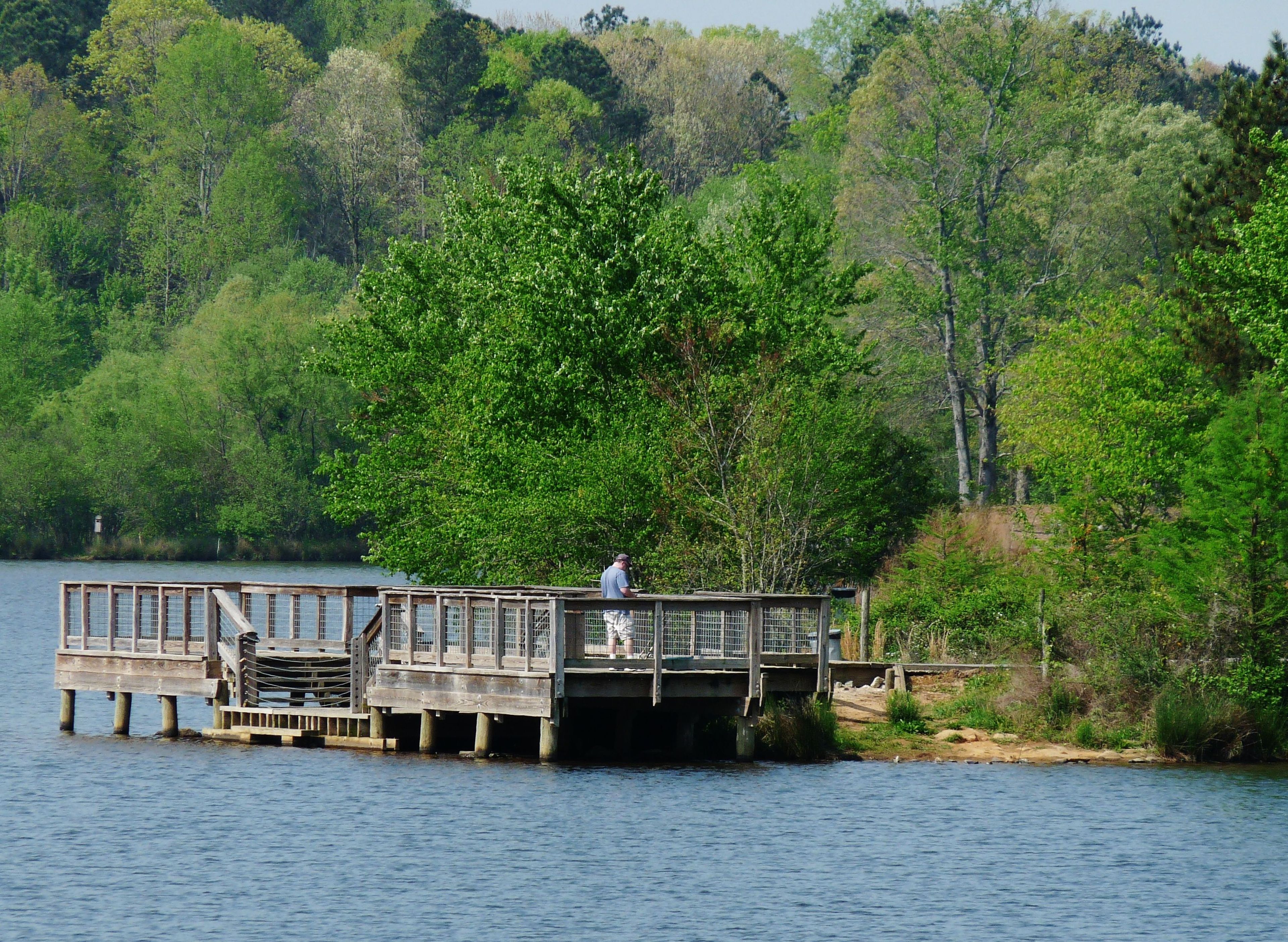 Spring at Mulberry Park. Photo by Patricia Mobley.