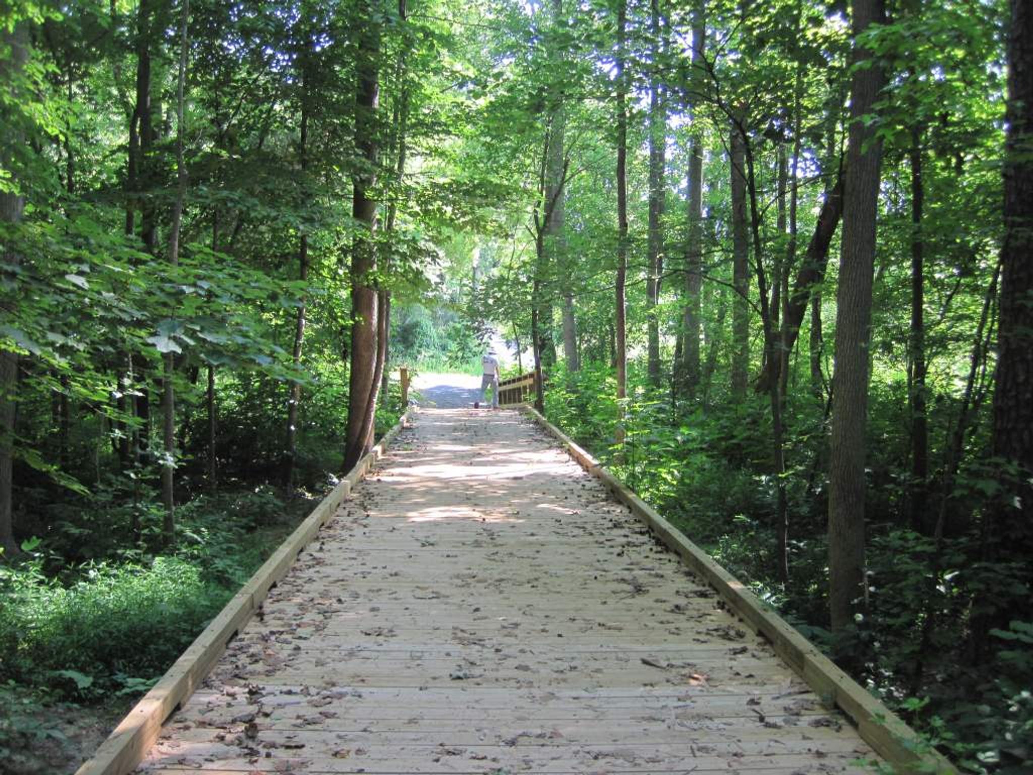 Boardwalk over Kings Creek