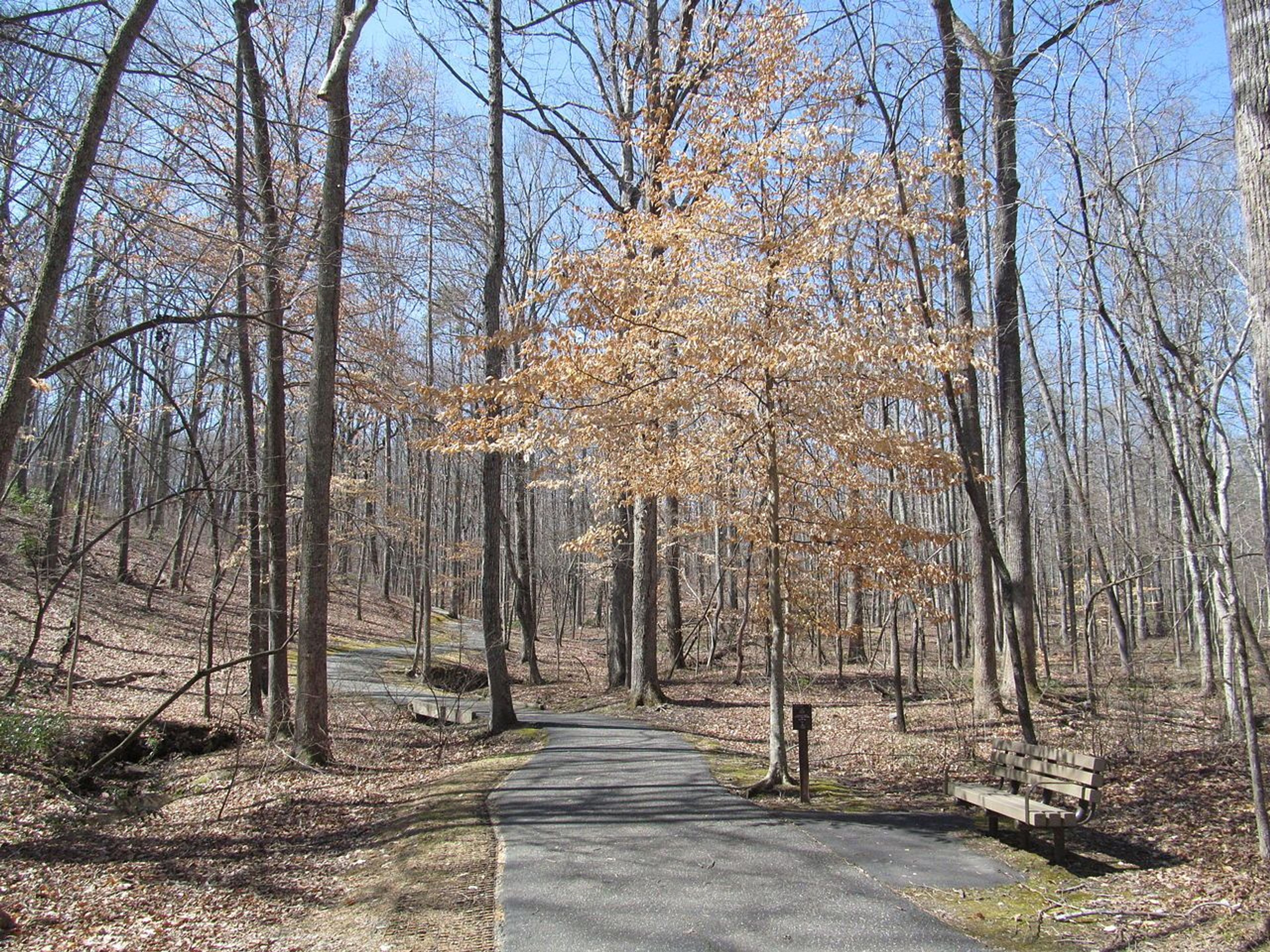 Kings Mountain National Military Park - South Carolina. Photo by Doug Kerr/wiki.