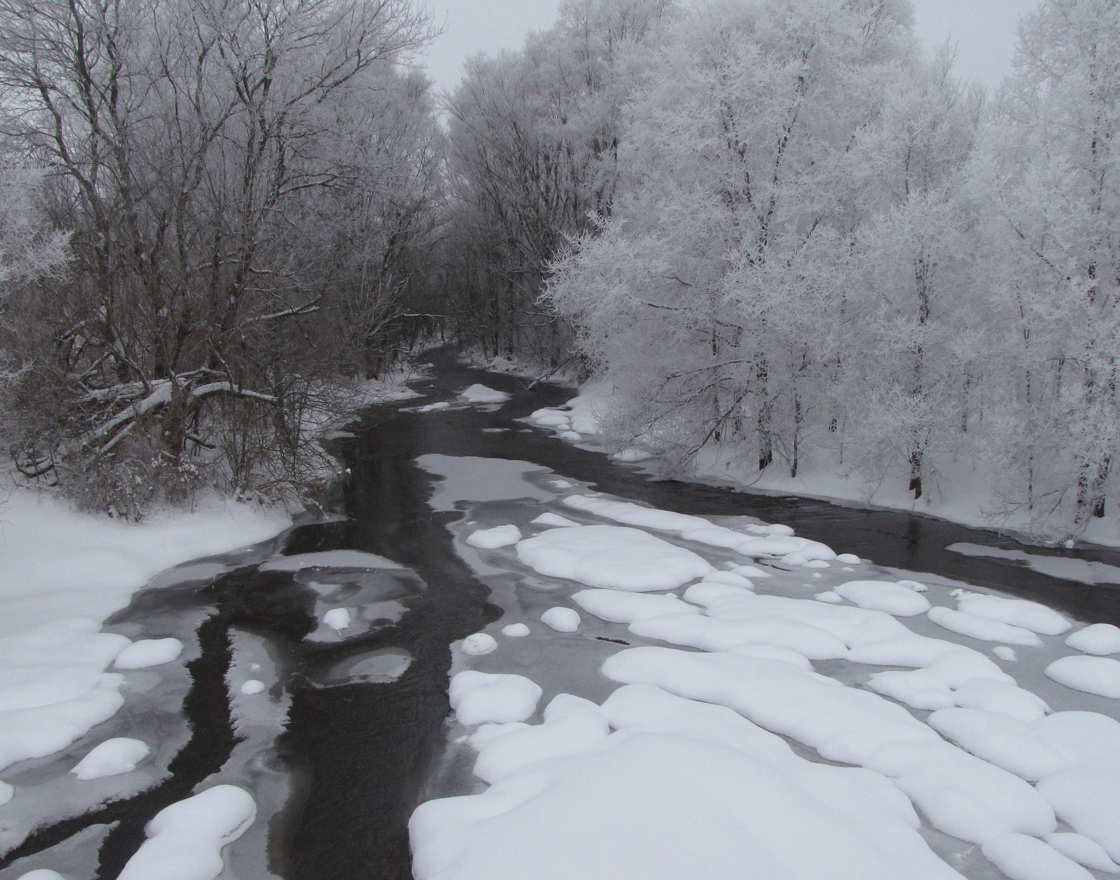 Hoarfrost on the trail. Photo by Tom Peterson.