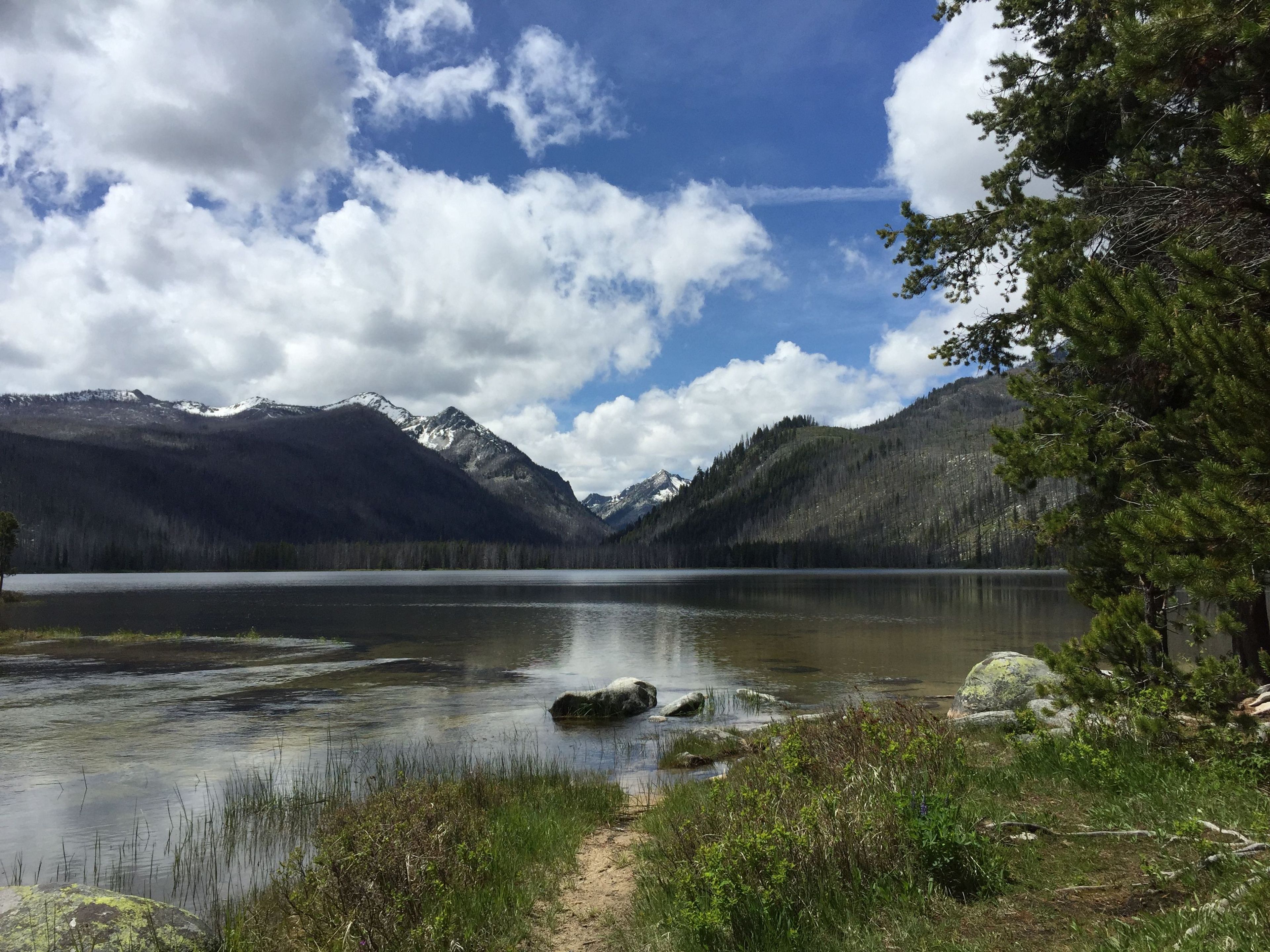 The Loon Creek Trail connects to Loon Lake. Photo by USDA Forest Service.