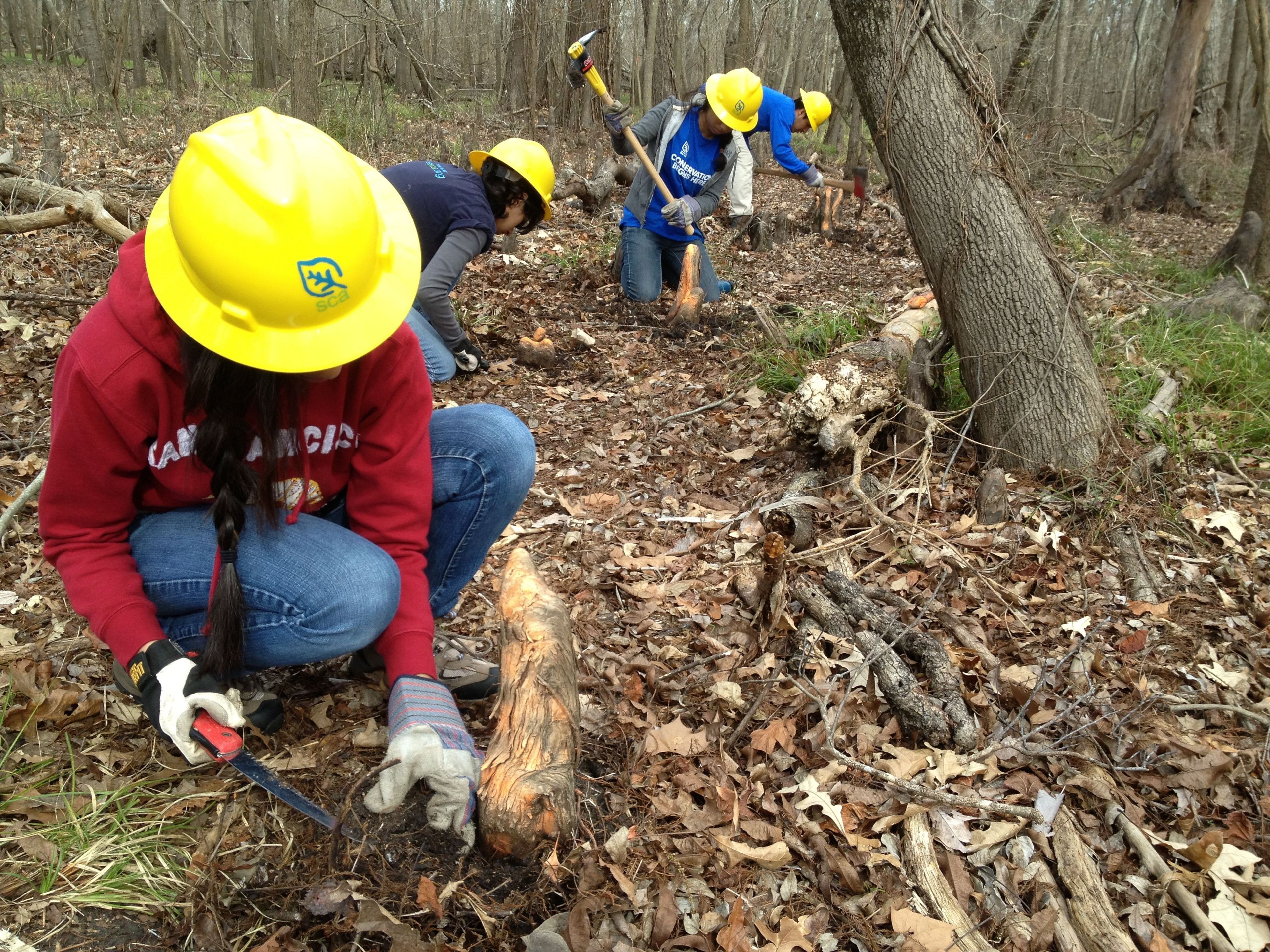 Urban youth from SCA Houston establishing the Knobby Knees Trail in 2011 by removing baldcypress kness from the immediate hiking path.