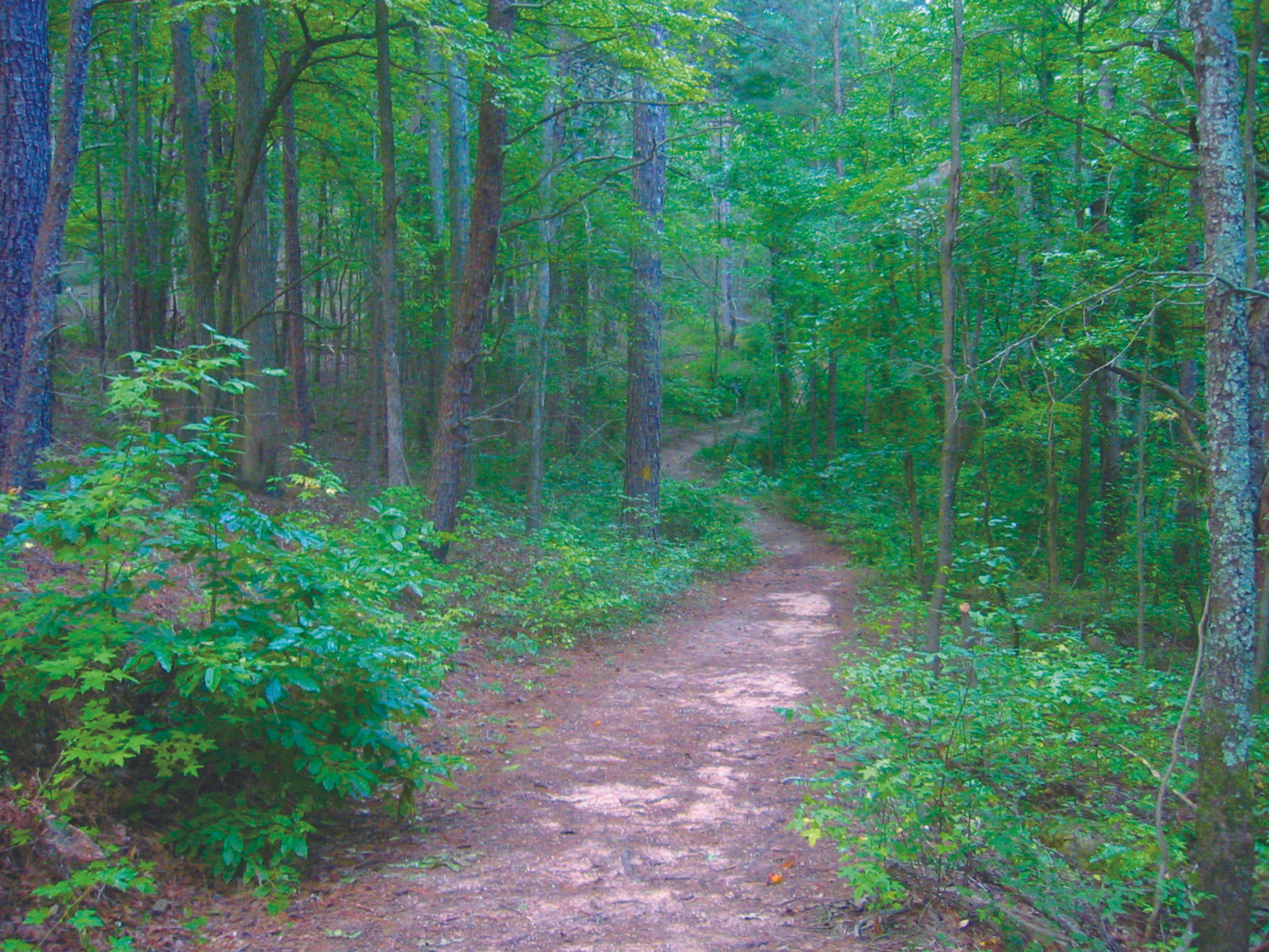 Moonshine Trail.