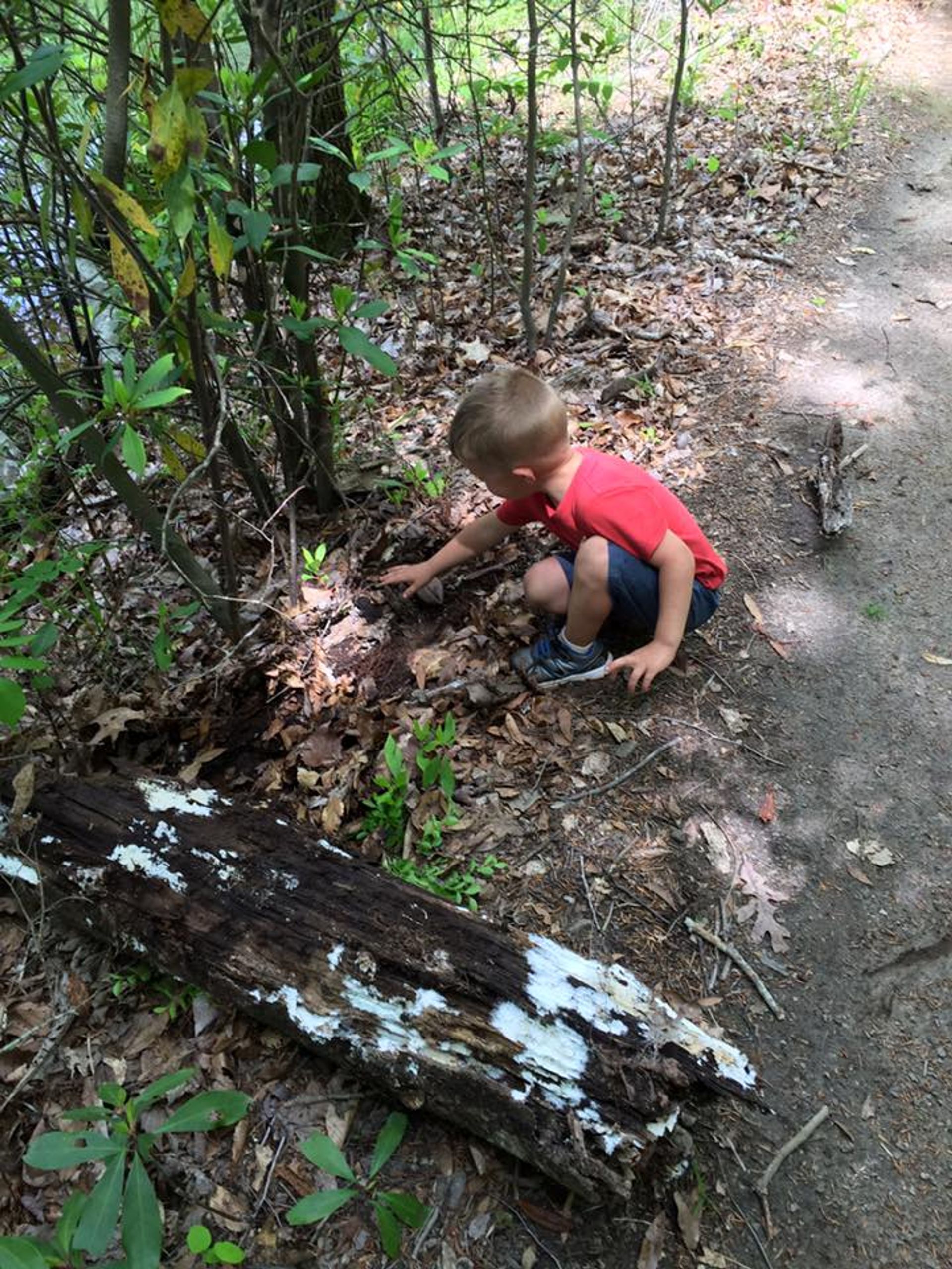 Lake Lurleen State Park's Azalea Ridge Trail - Earth Day Activities. Photo by Tasha Simon.