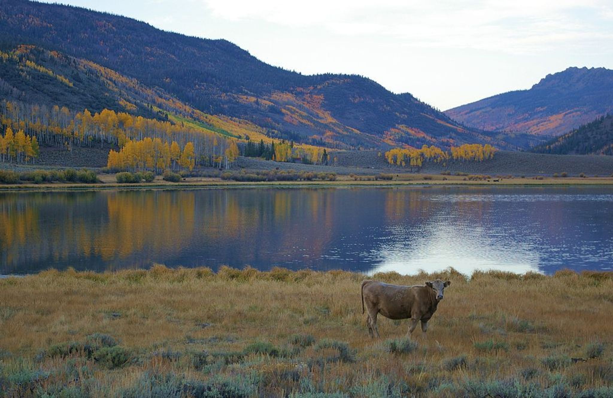 Widgeon Bay on Fishlake. Photo by Scenic25 wiki.