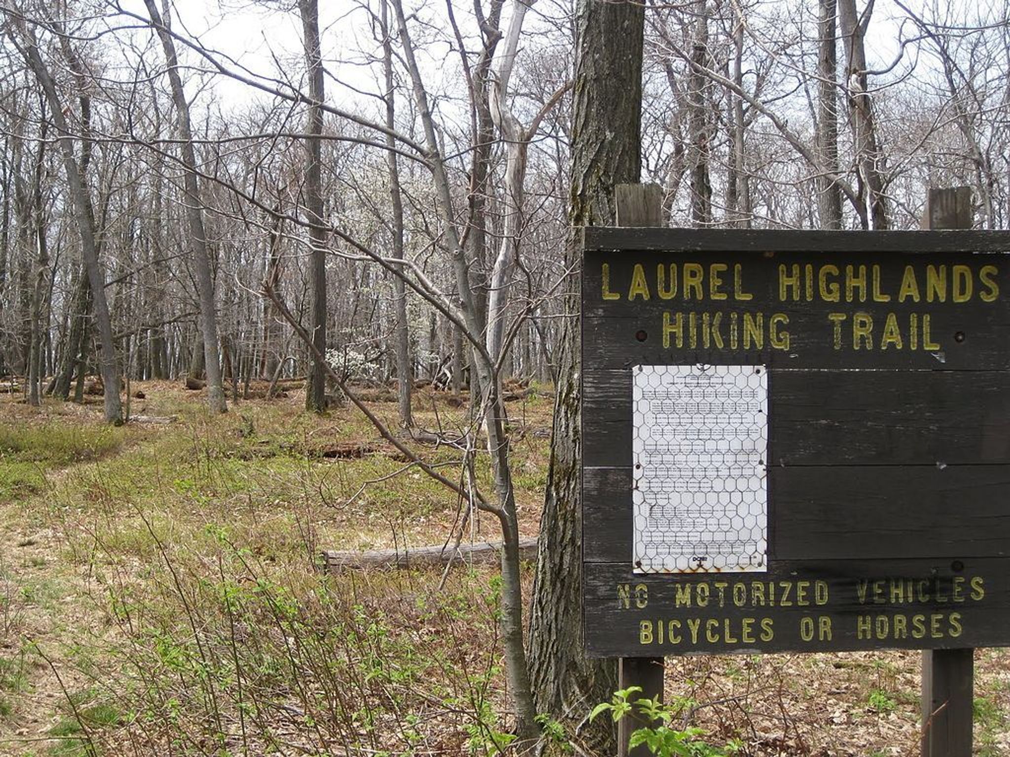 Laurel Highlands Hiking TrailHead. Photo by Ron Shawley wiki.