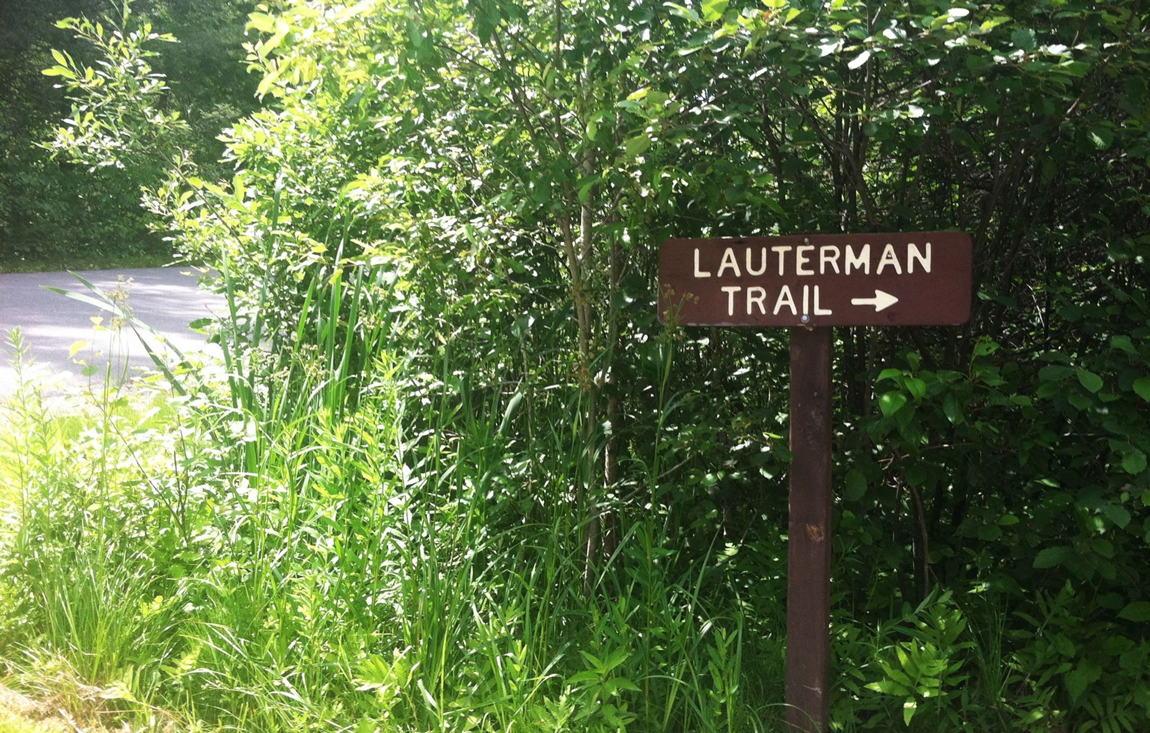 A popular trail system for hiking, biking and cross-country skiing. Photo by Dan Gayhart.