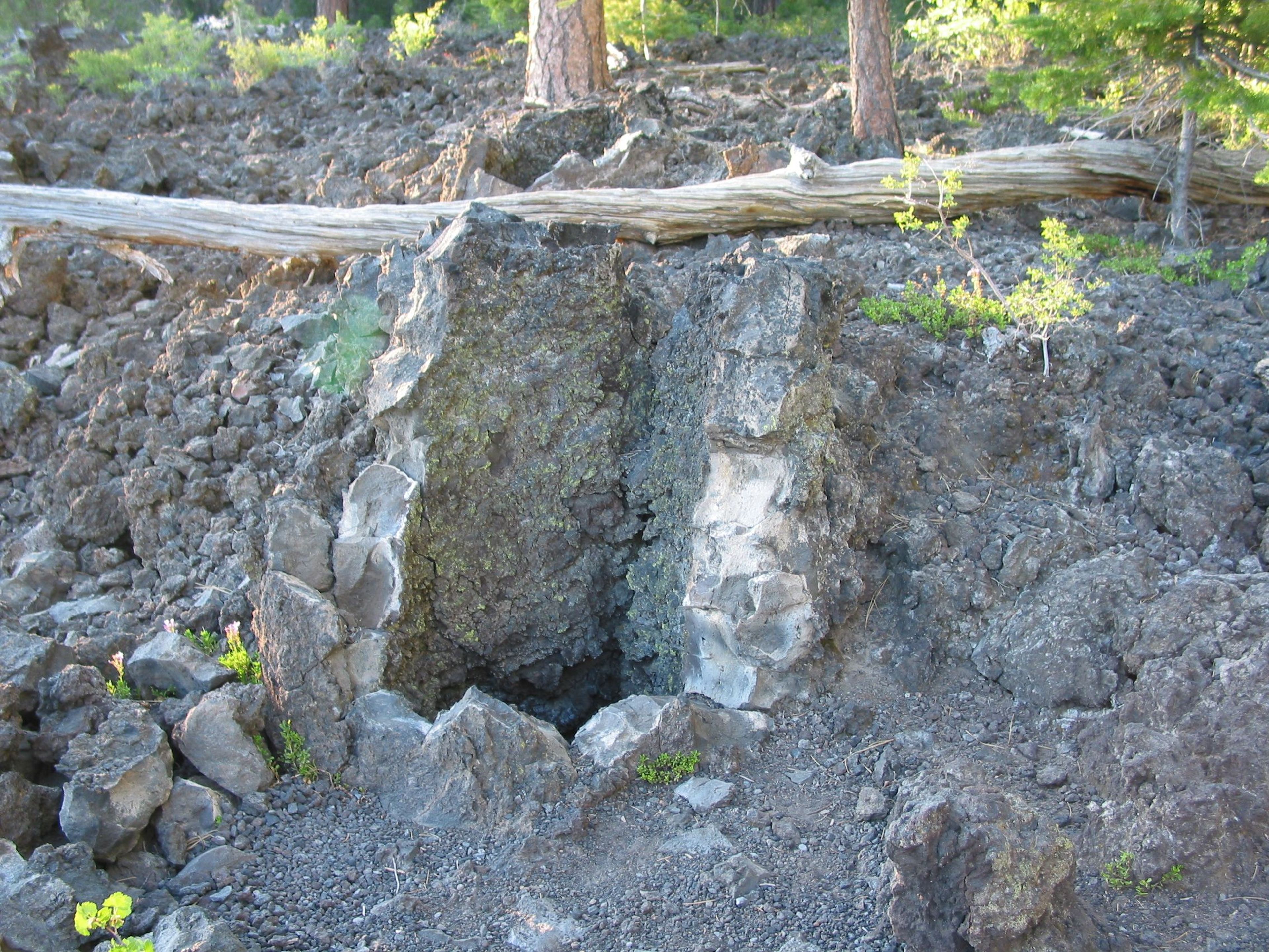 The Lava Cast Forest Trail is a paved, barrier-free interpretive trail. Photo by Linda Thomas and Lane Thomas.