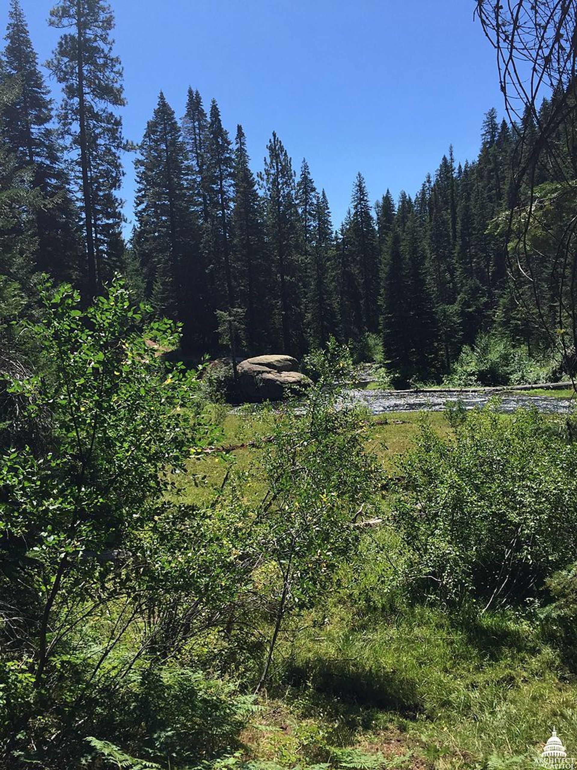 Payette Forest Idaho. Photo by USCapitol wiki.