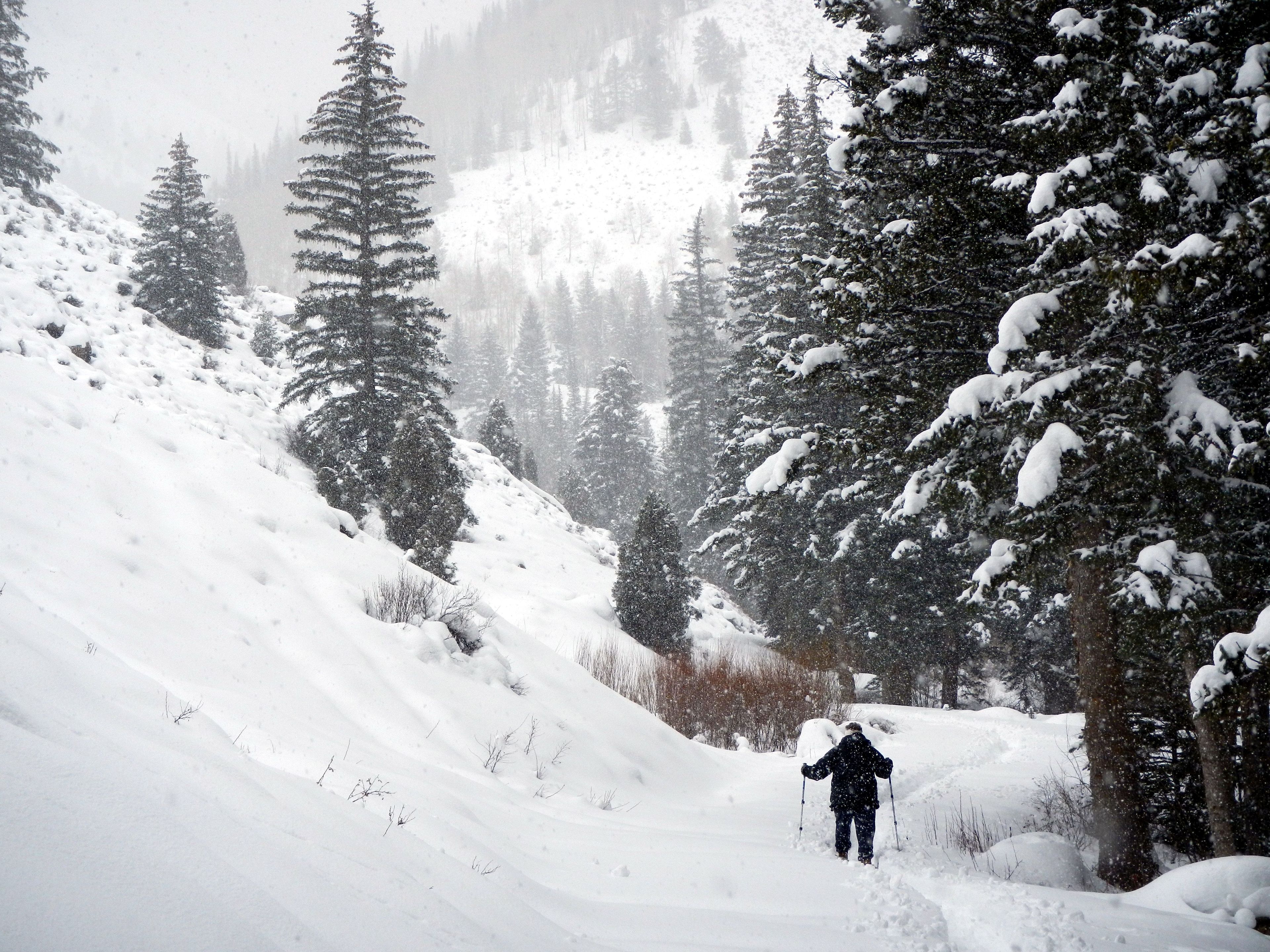 Snowshoeing along Left Fork Huntington Creek. Photo by Rich Warnick.