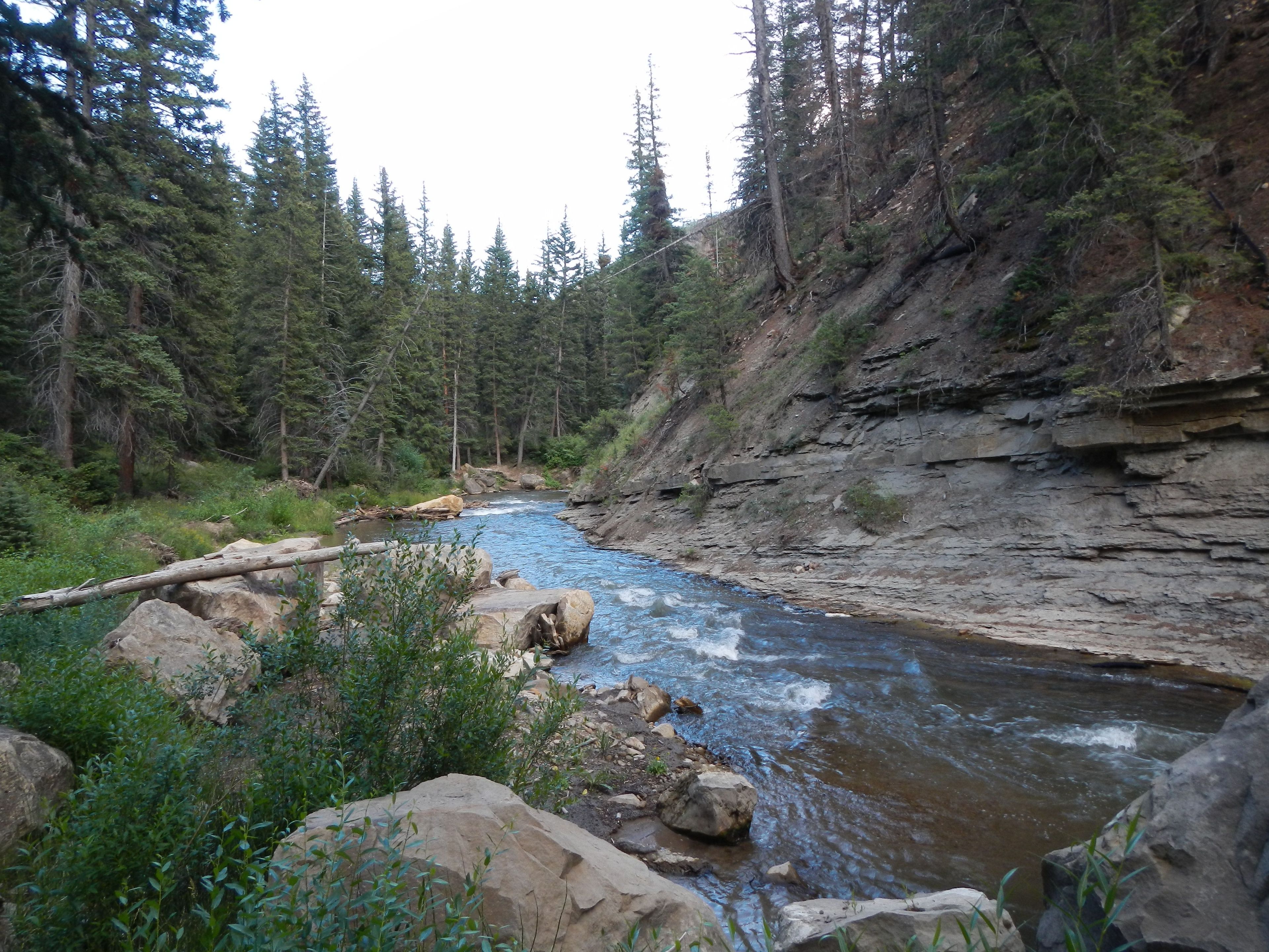 Left Fork Huntington Creek.