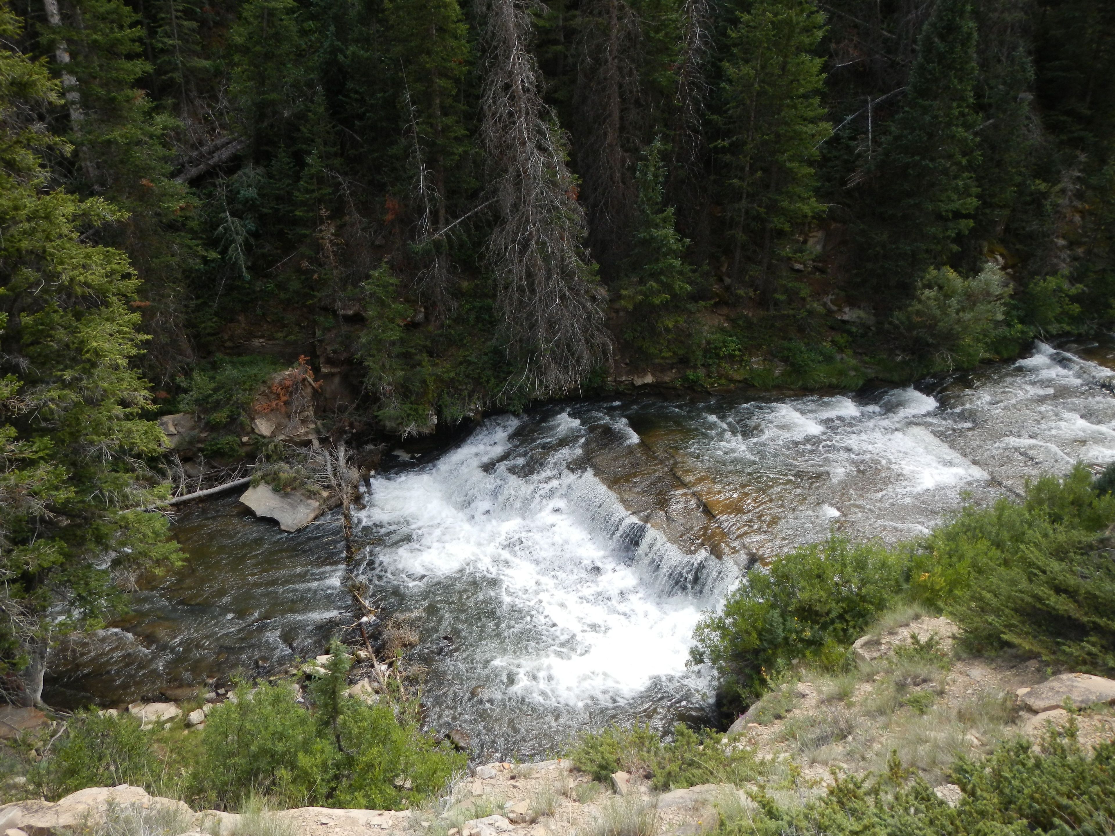 Left Fork Huntington Creek.