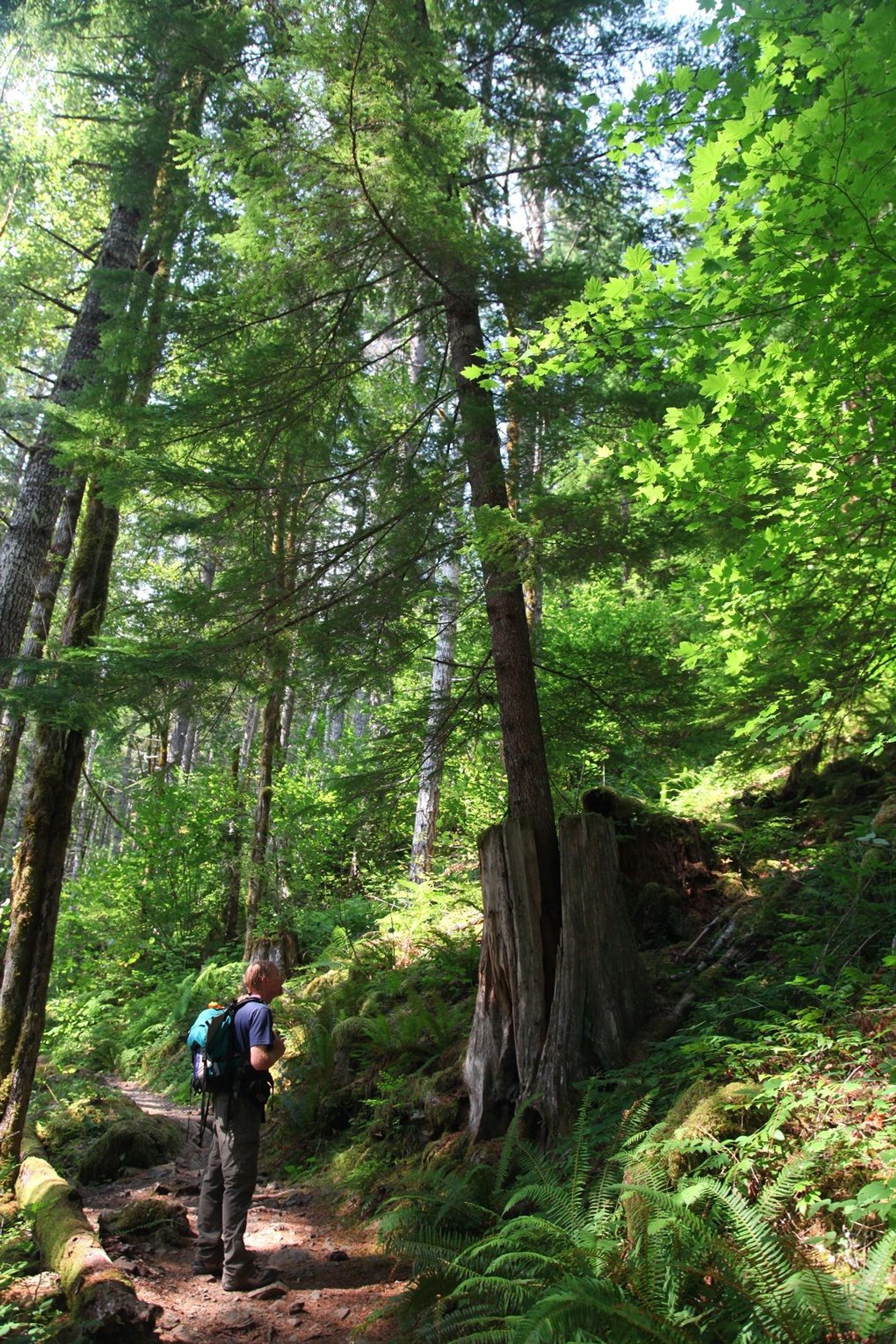 Hiking on Lena Lake National Recreation Trail. Photo by Nikki Yancey.