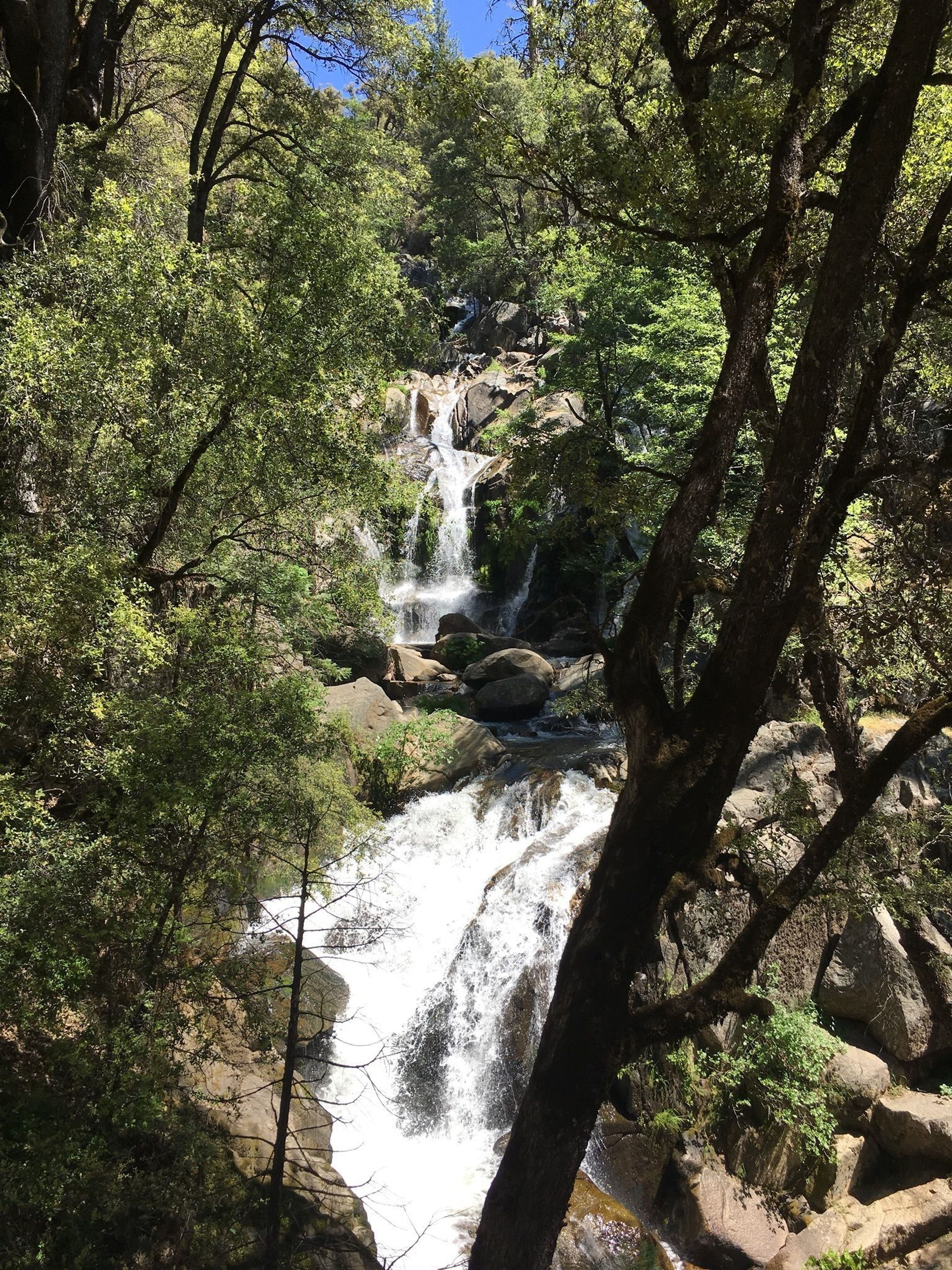 Lewis Creek Trail Corlieu Falls. Photo by USFS.