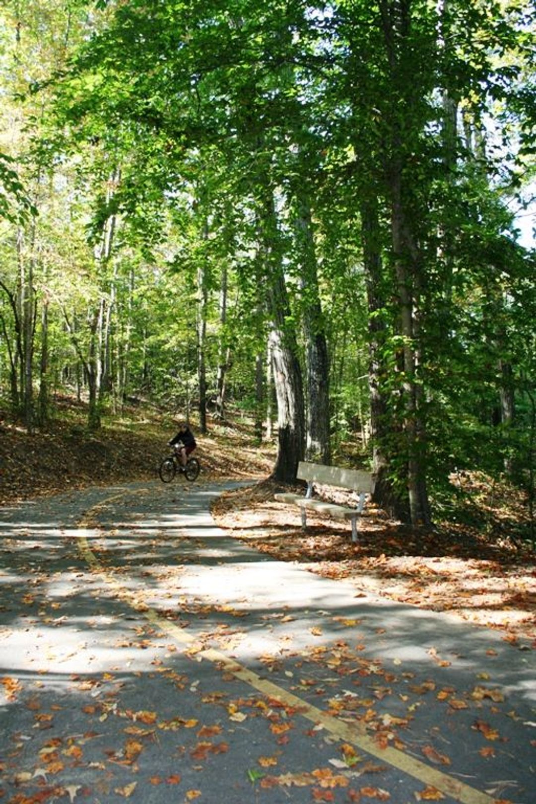 Little Mulberry Park Trails