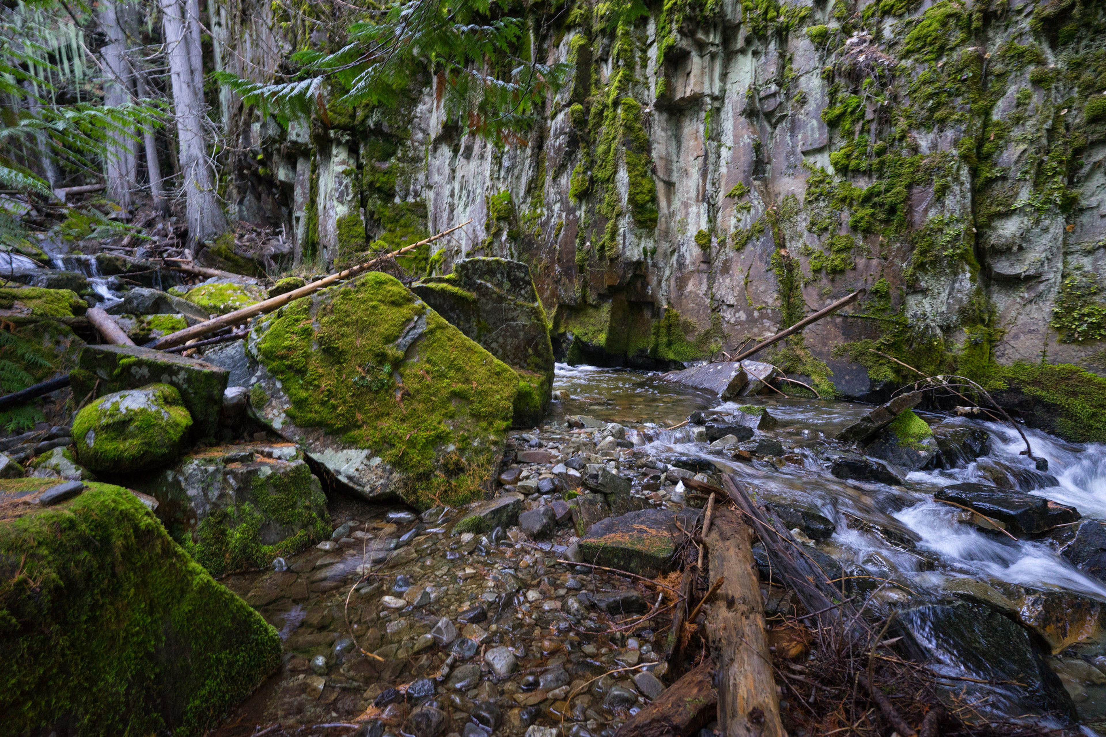 Little North Fork Falls. Photo by Troy Smith.