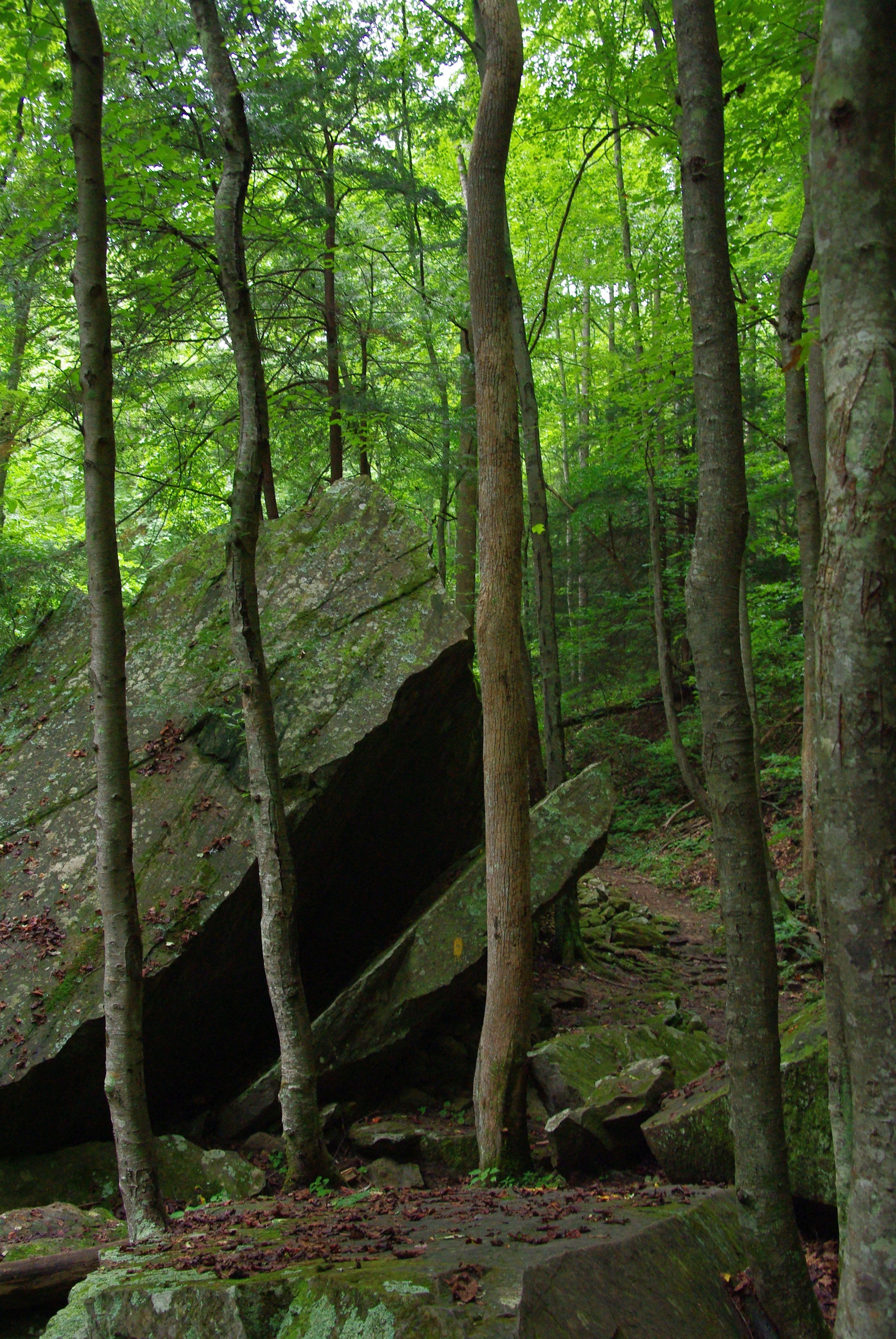 Rock scenery. Photo by Marty Silver.