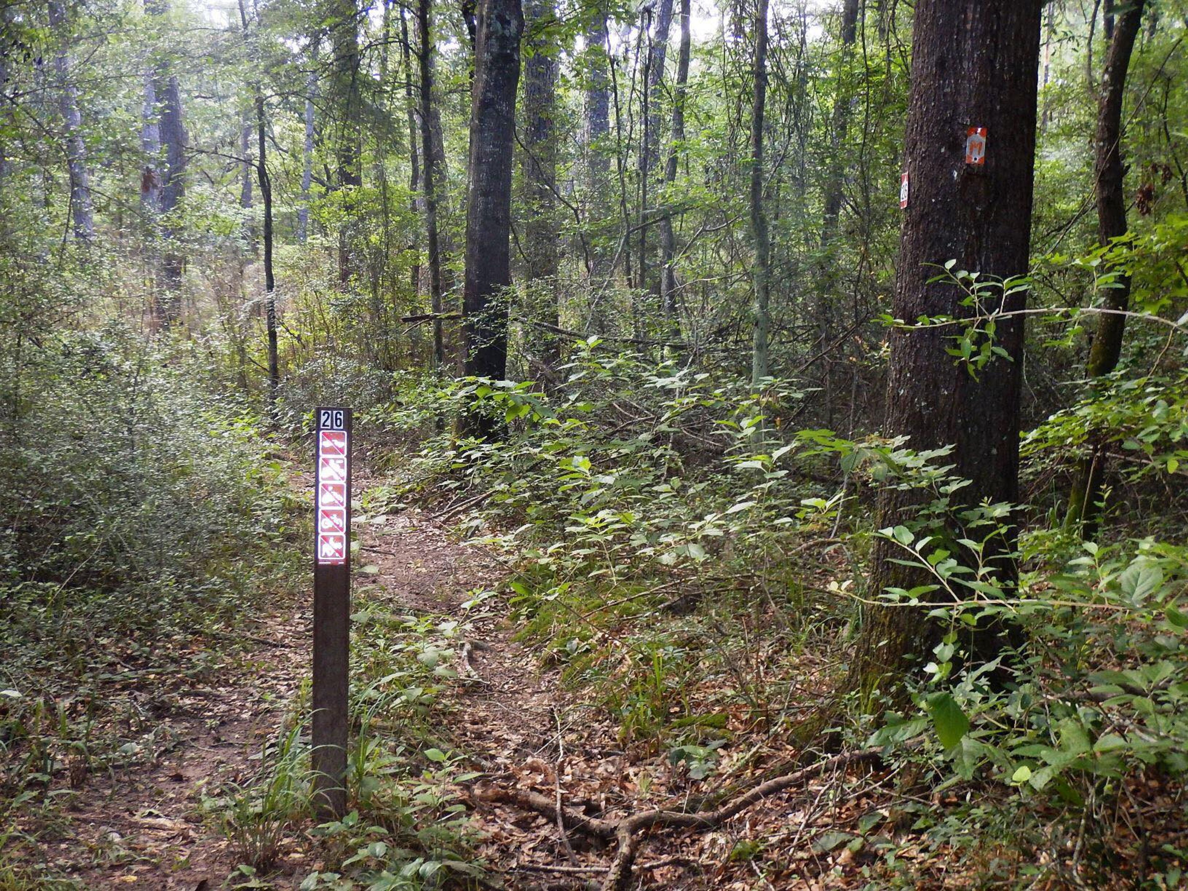 Trail marker. Photo by Lone Star Trail Hiking Club.