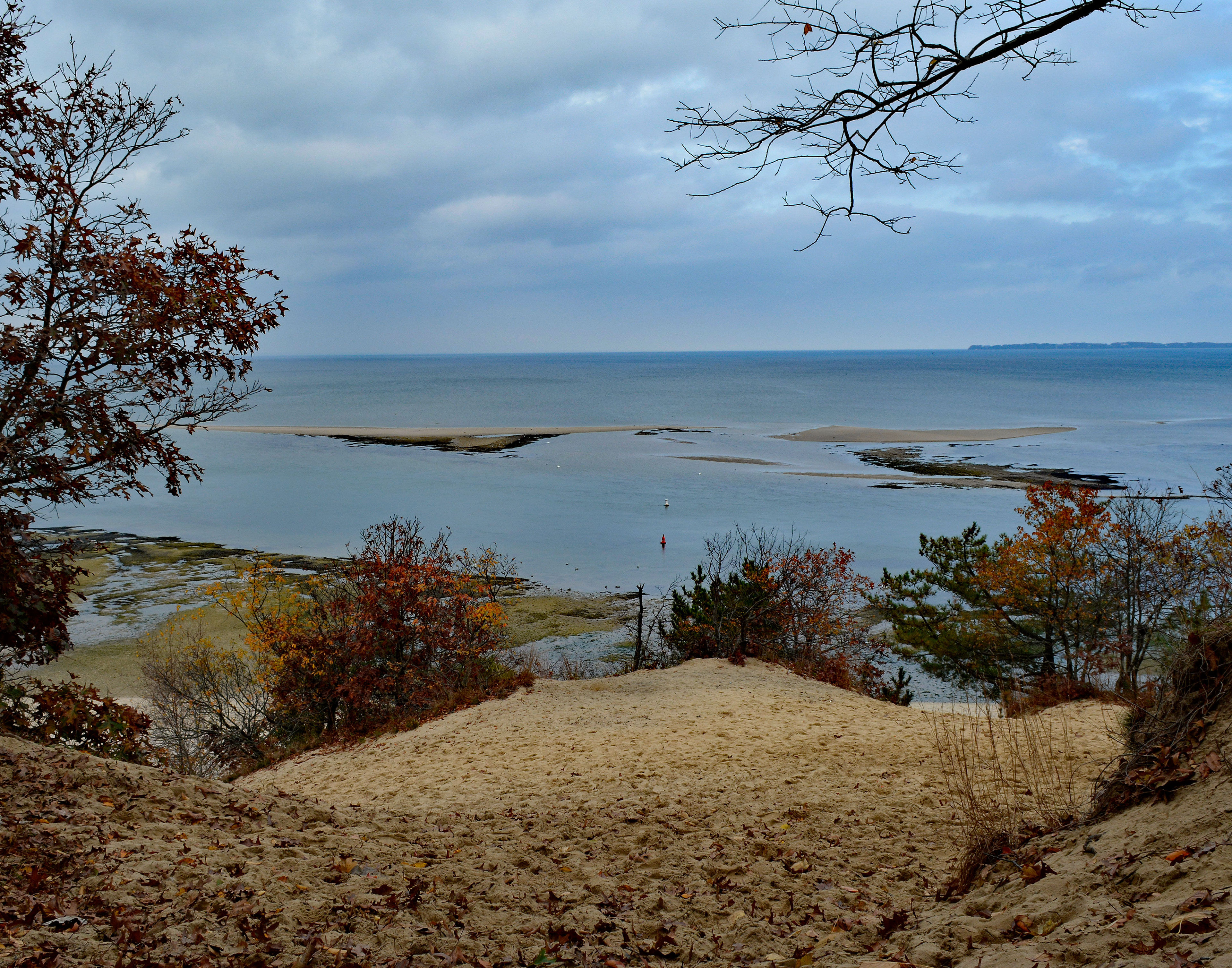 View of Mouth of the Nissequogue River form Greenbelt Trail. Photo by Dorothy Chanin.