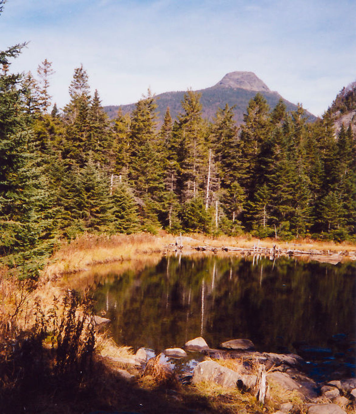 View of Camels Hump from Long Trail. Photo by Broken Images/wiki.