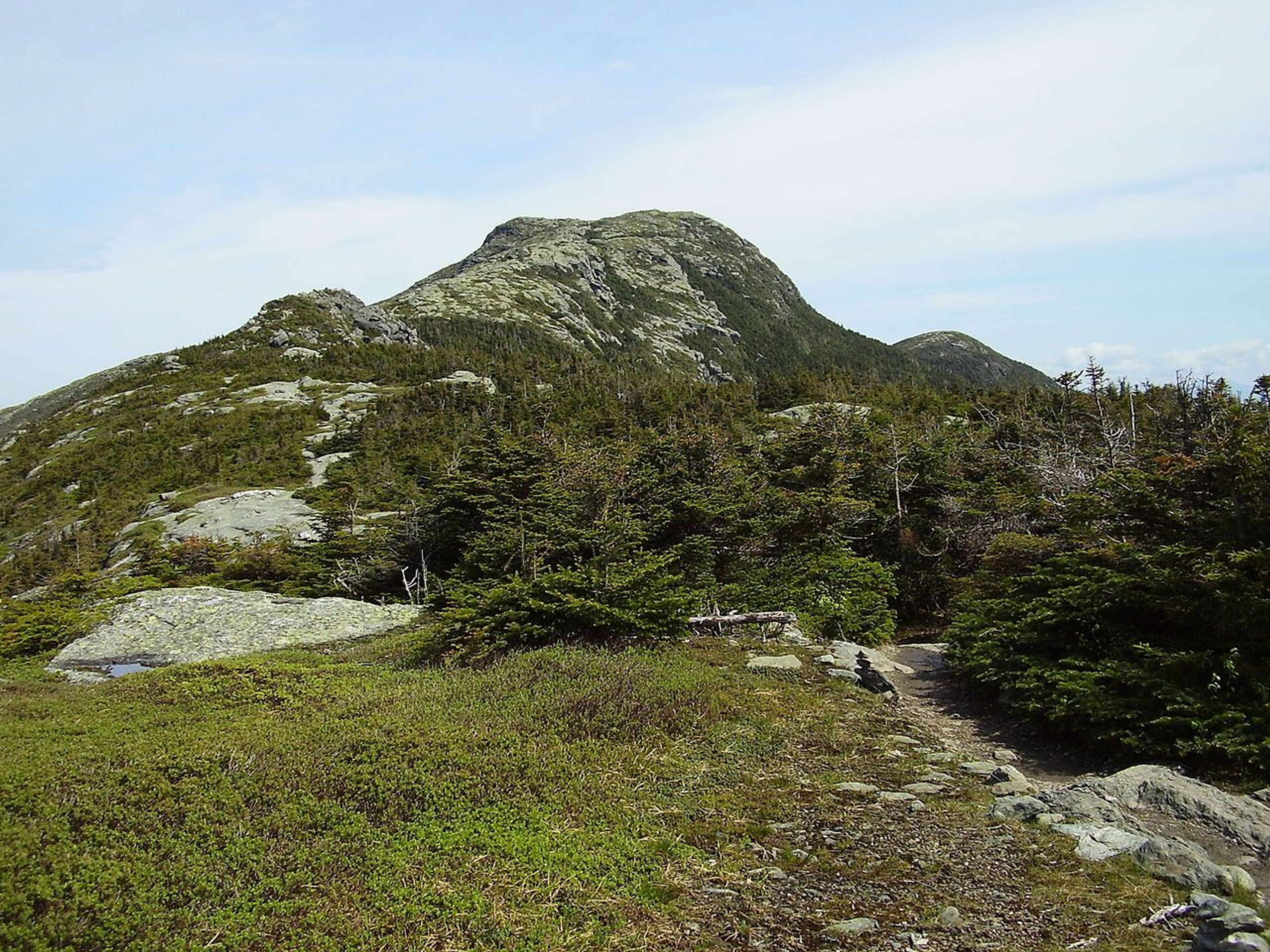 The view of Mansfield's summit from the Long Trail. Photo by Calzarette/wiki.