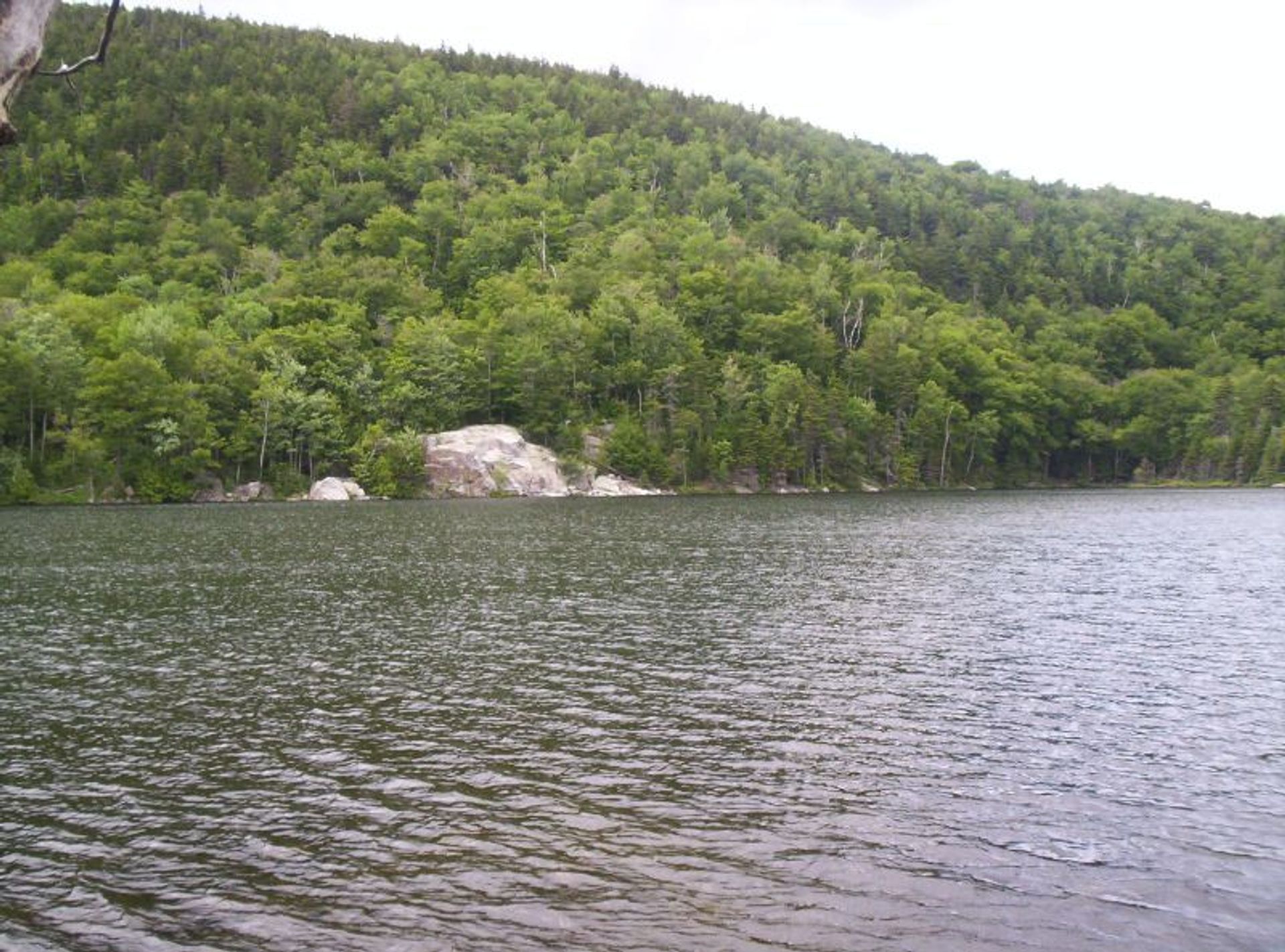 Little Rock Pond from the Long Trail. Photo by Omarcheeseboro/wiki.