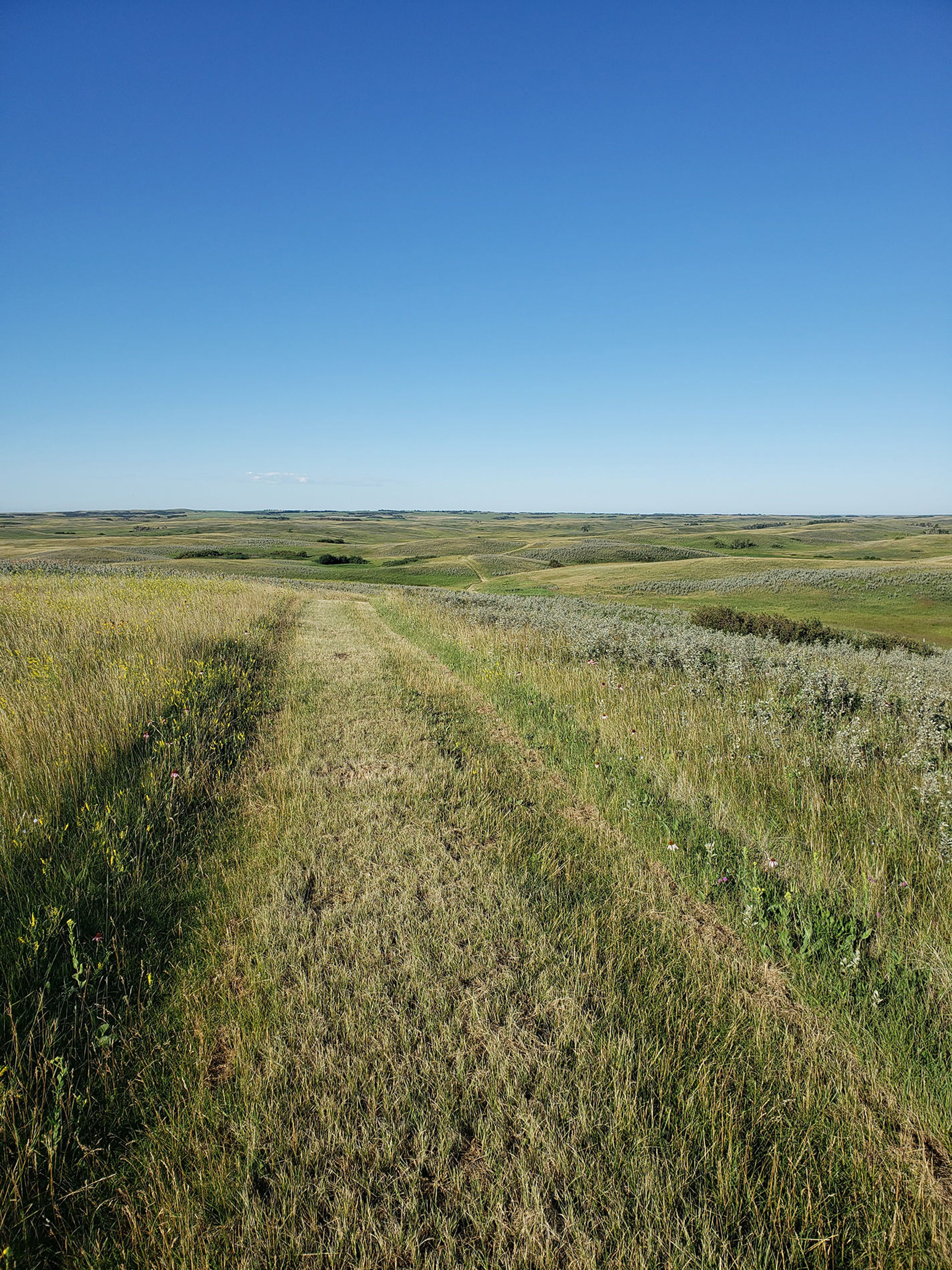 Endless Prairie. Photo by Wendy Schmeichel.