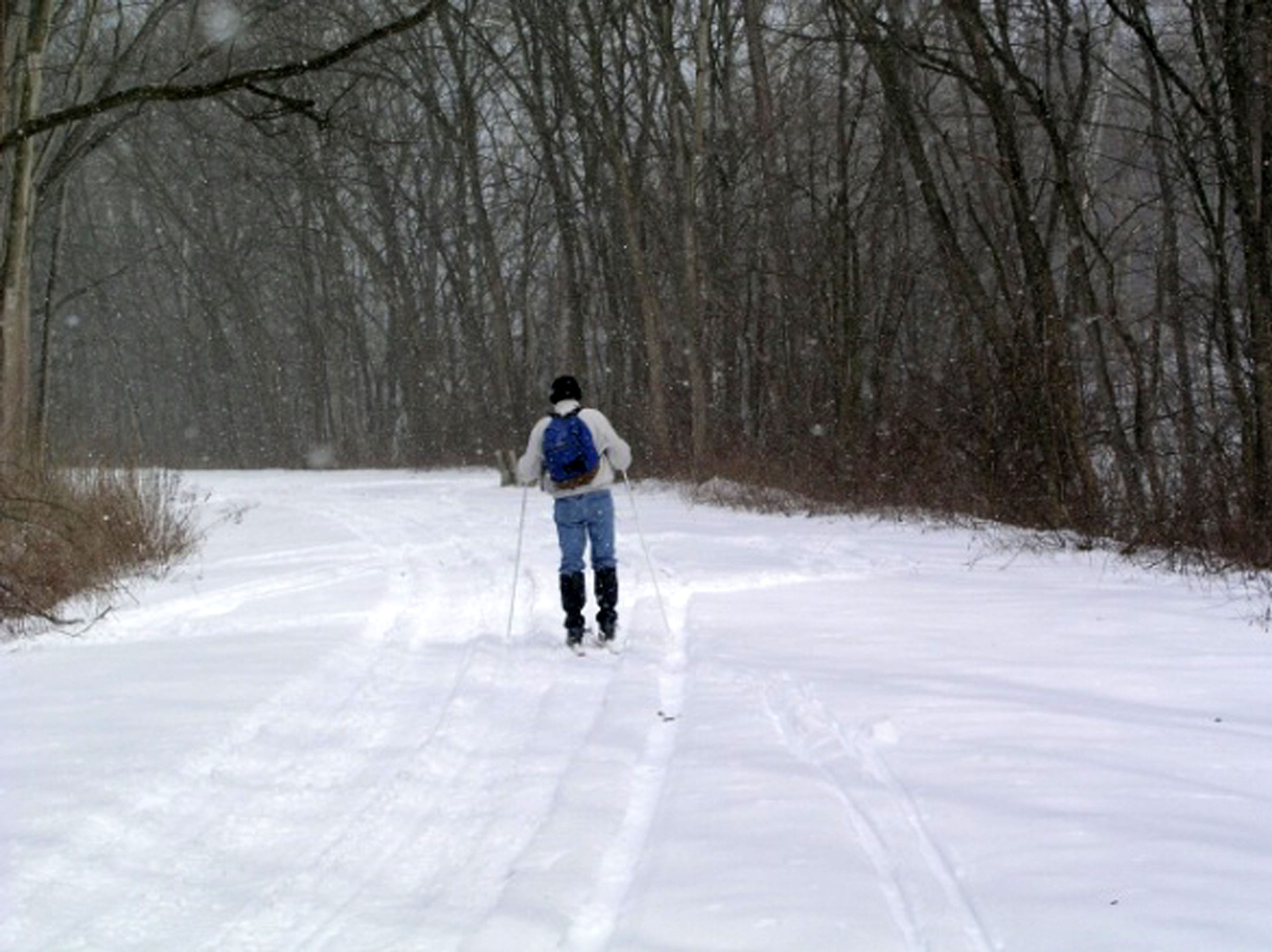 Cross-country skiing on the Lower Trail.