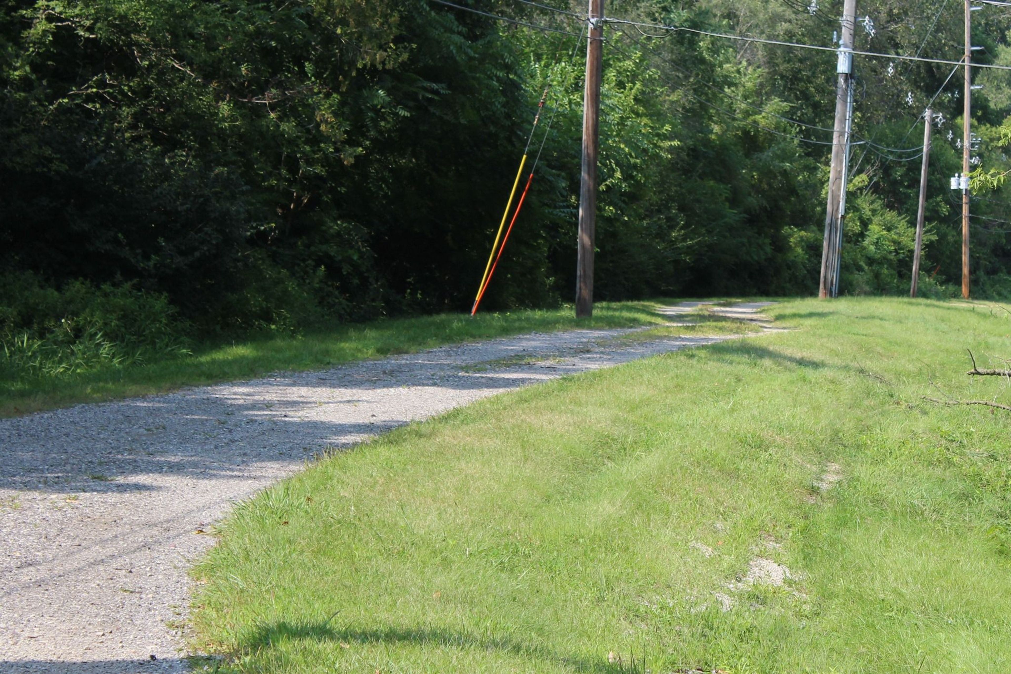 Trail photo. Photo by Kevin Jenison.