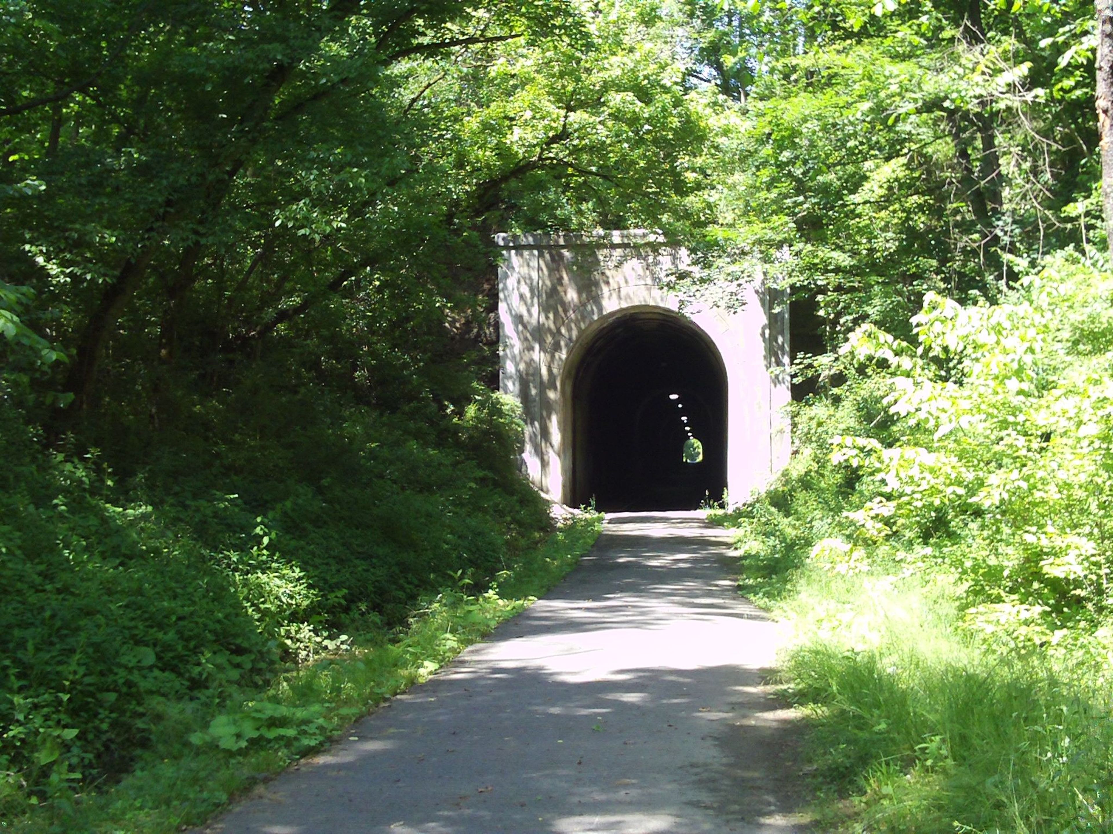 Merrideth Tunnel. Photo by Dan Talbott.