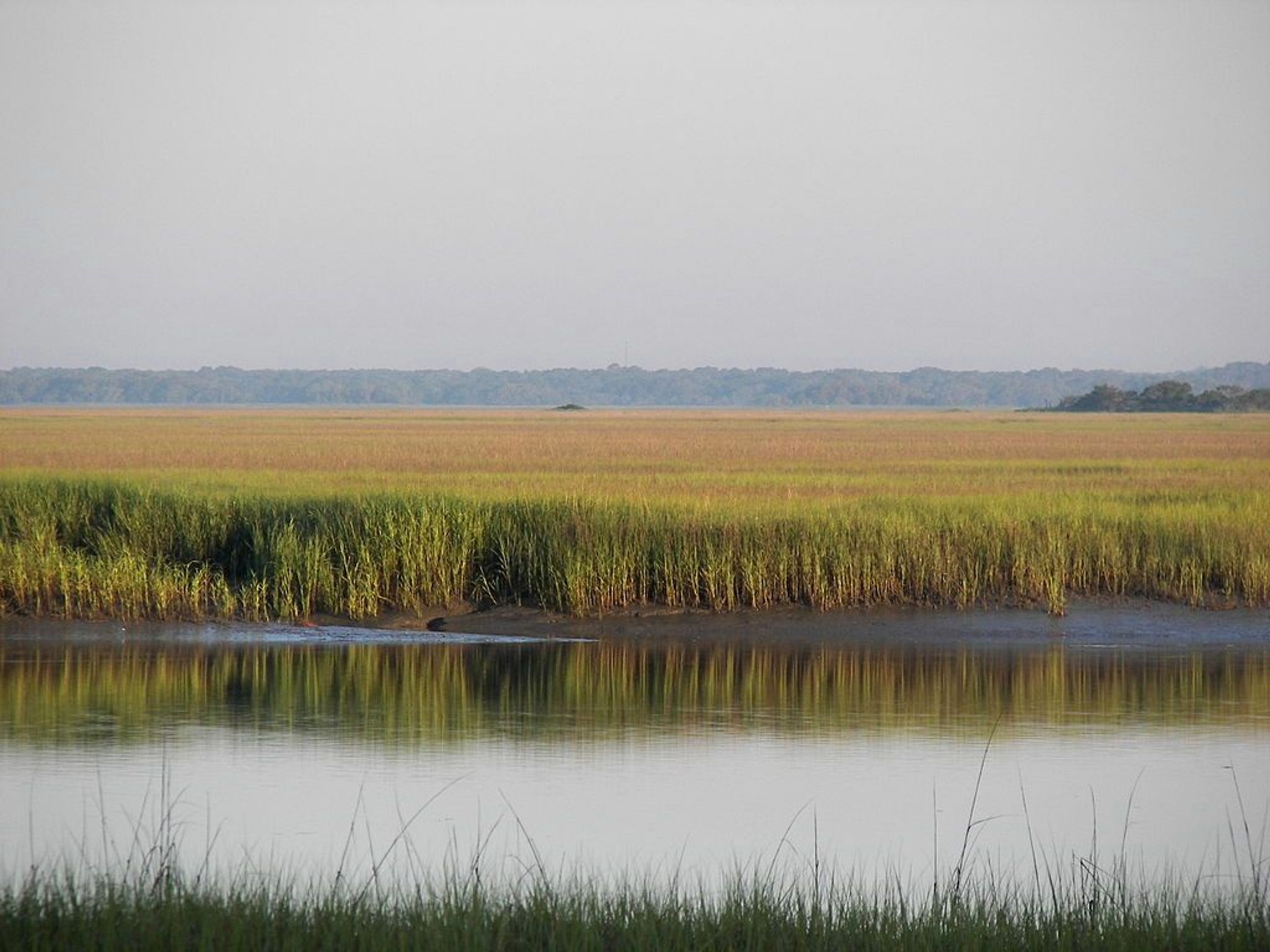 Hunting Island Marsh. Photo by Cdamgen wiki.