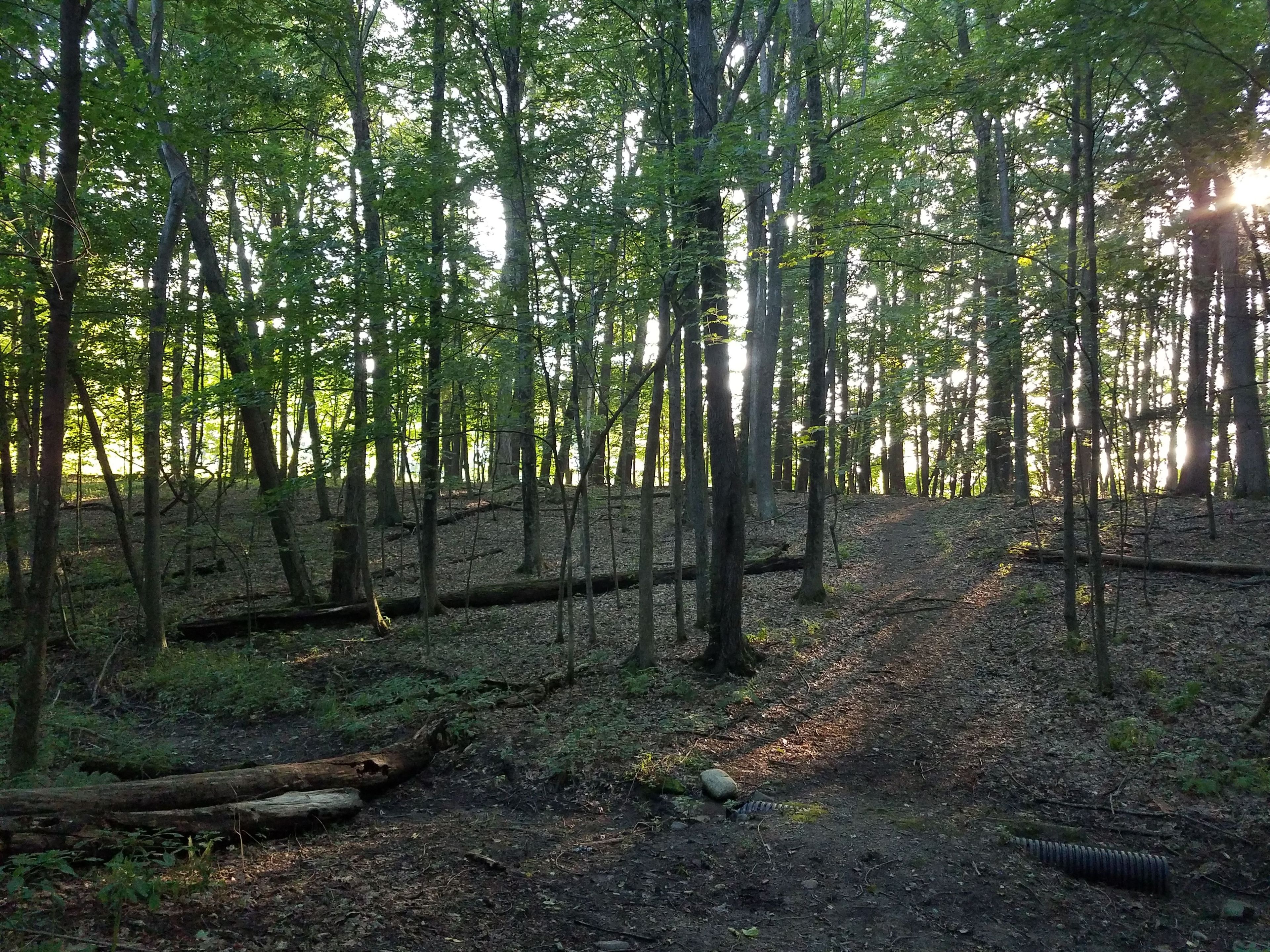 trail with culvert to be repaired